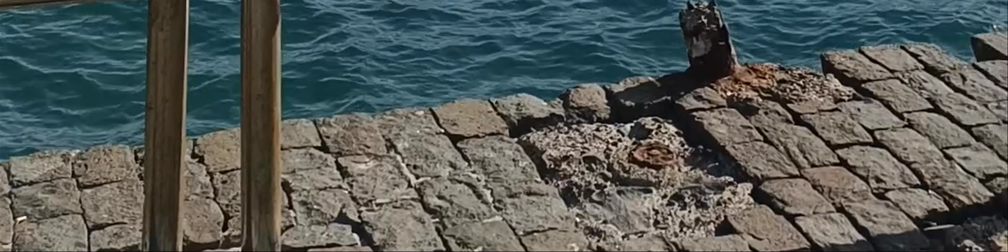 Zona de pesca de San Telmo