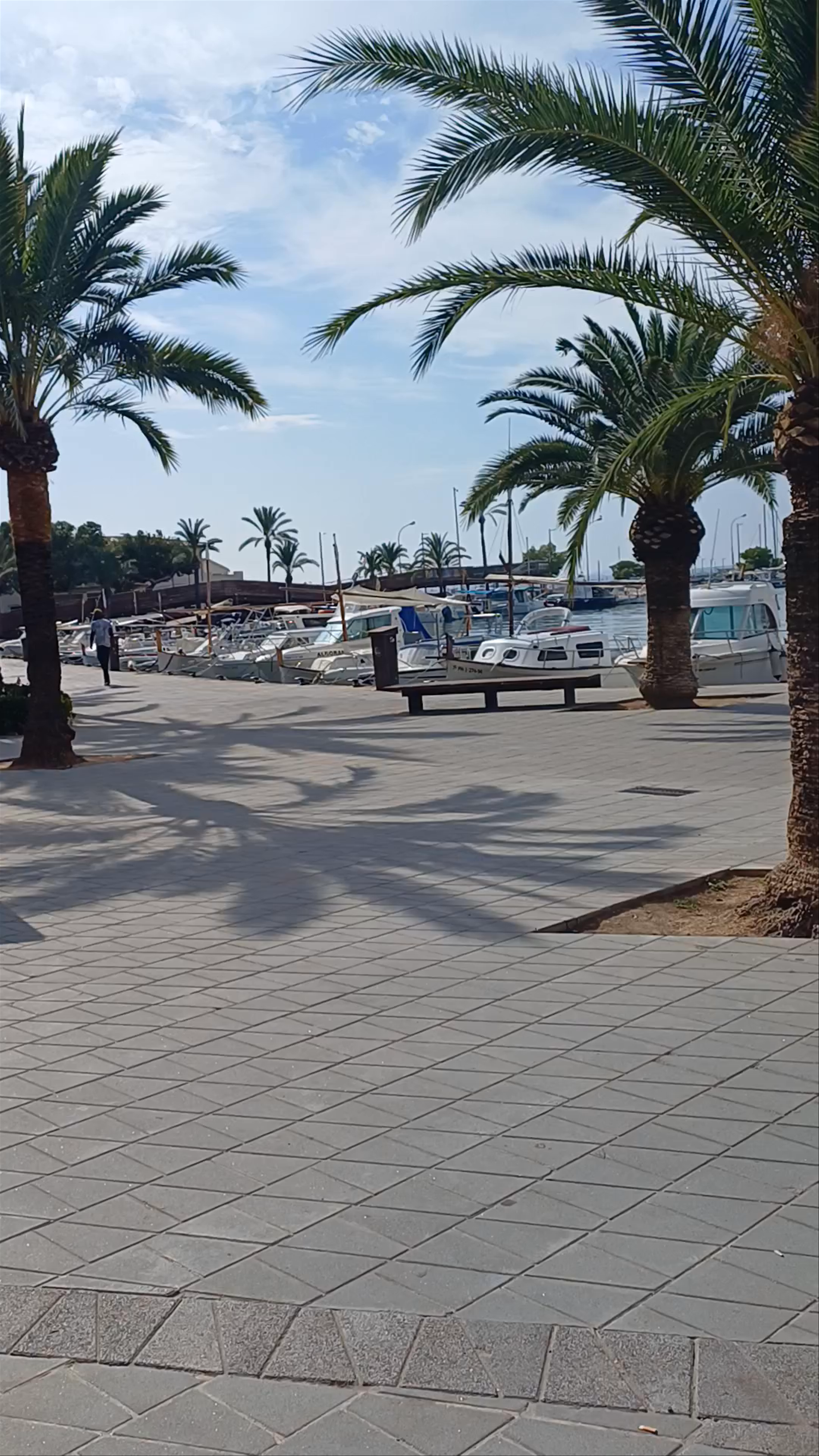 Port Alcudia