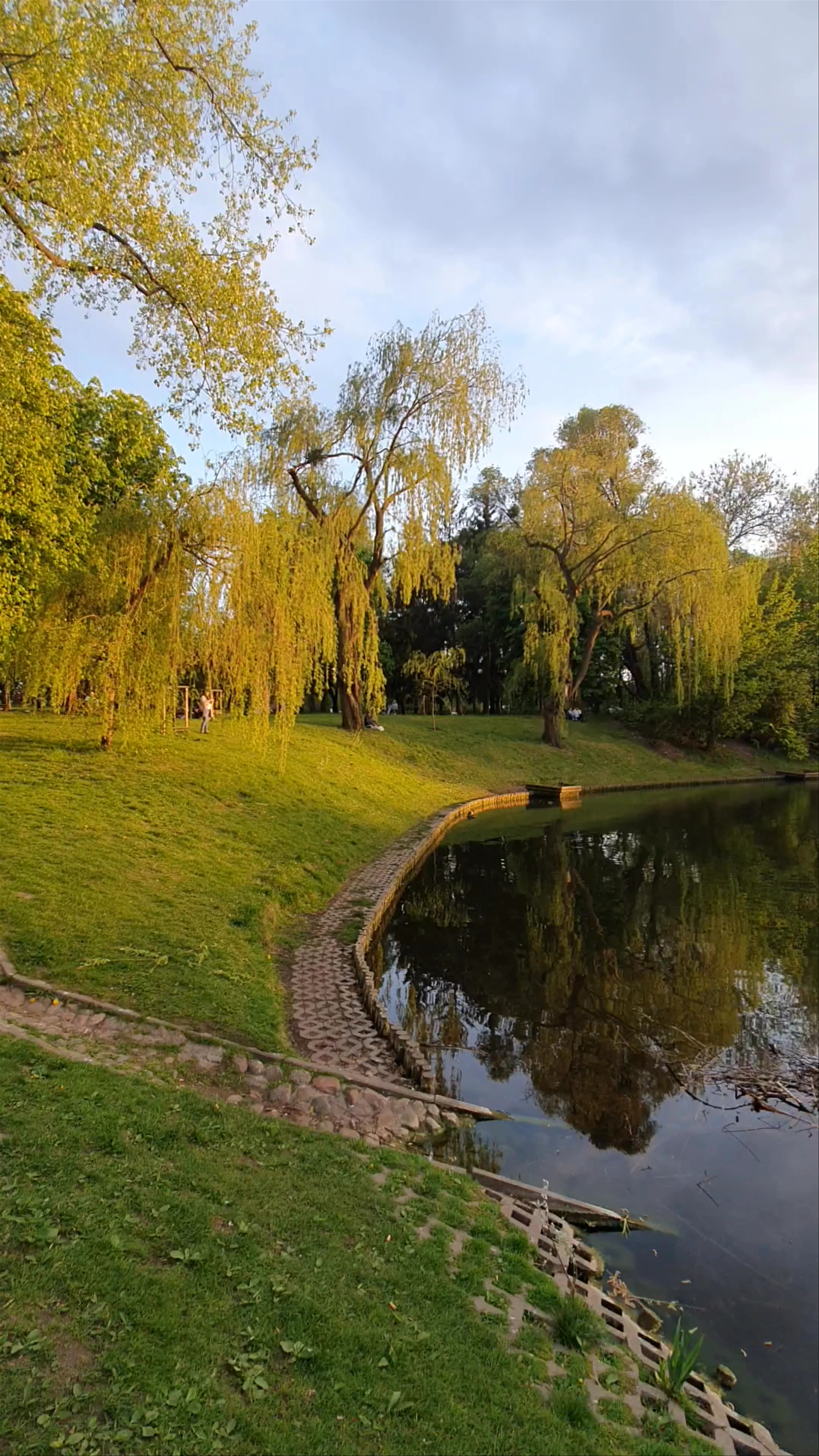 Park Moczydło