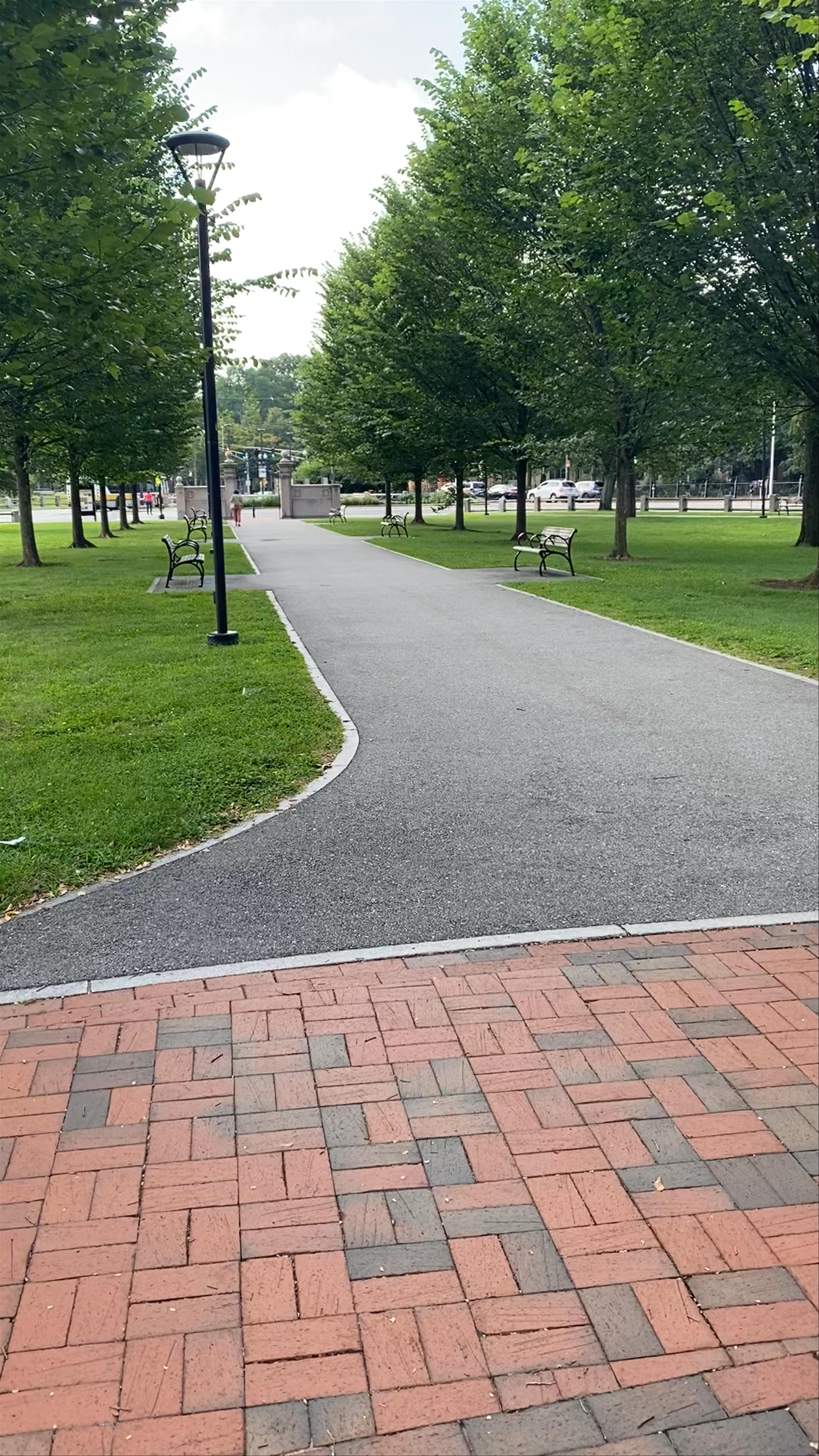 Universidad de Harvard