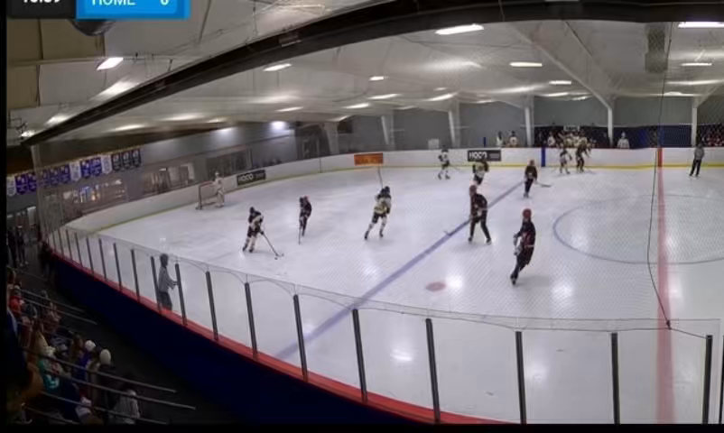 Tyler Waltz: Clip 1:Hit Leads to Goal By Linemates. Clip 2: Goal