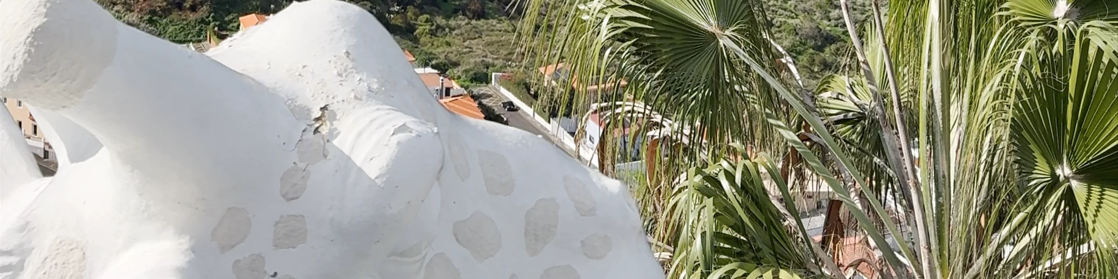 La Baranda brunch