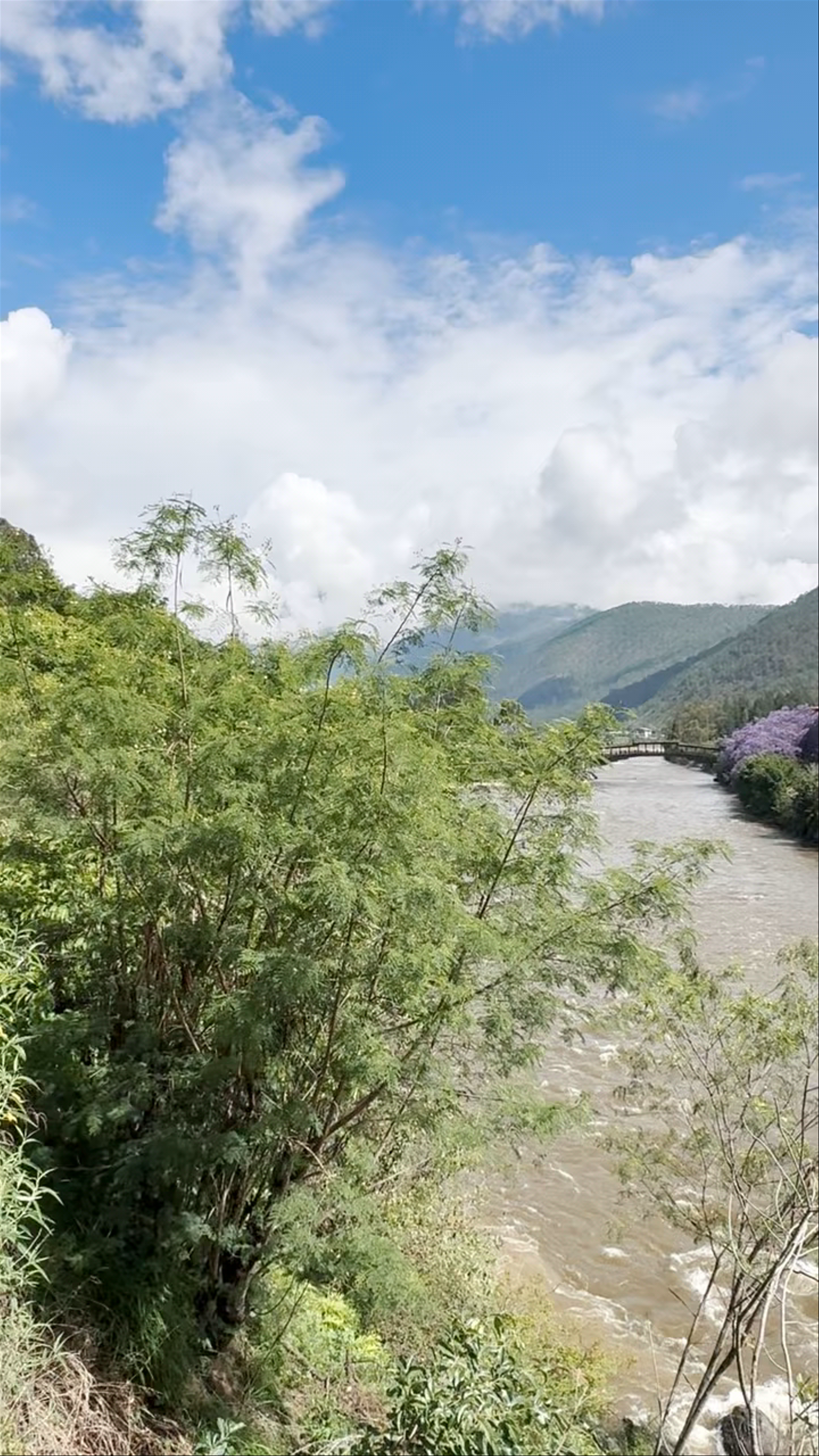 Punakha Dzong View Point: Serene Majesty by the River in Bhutan