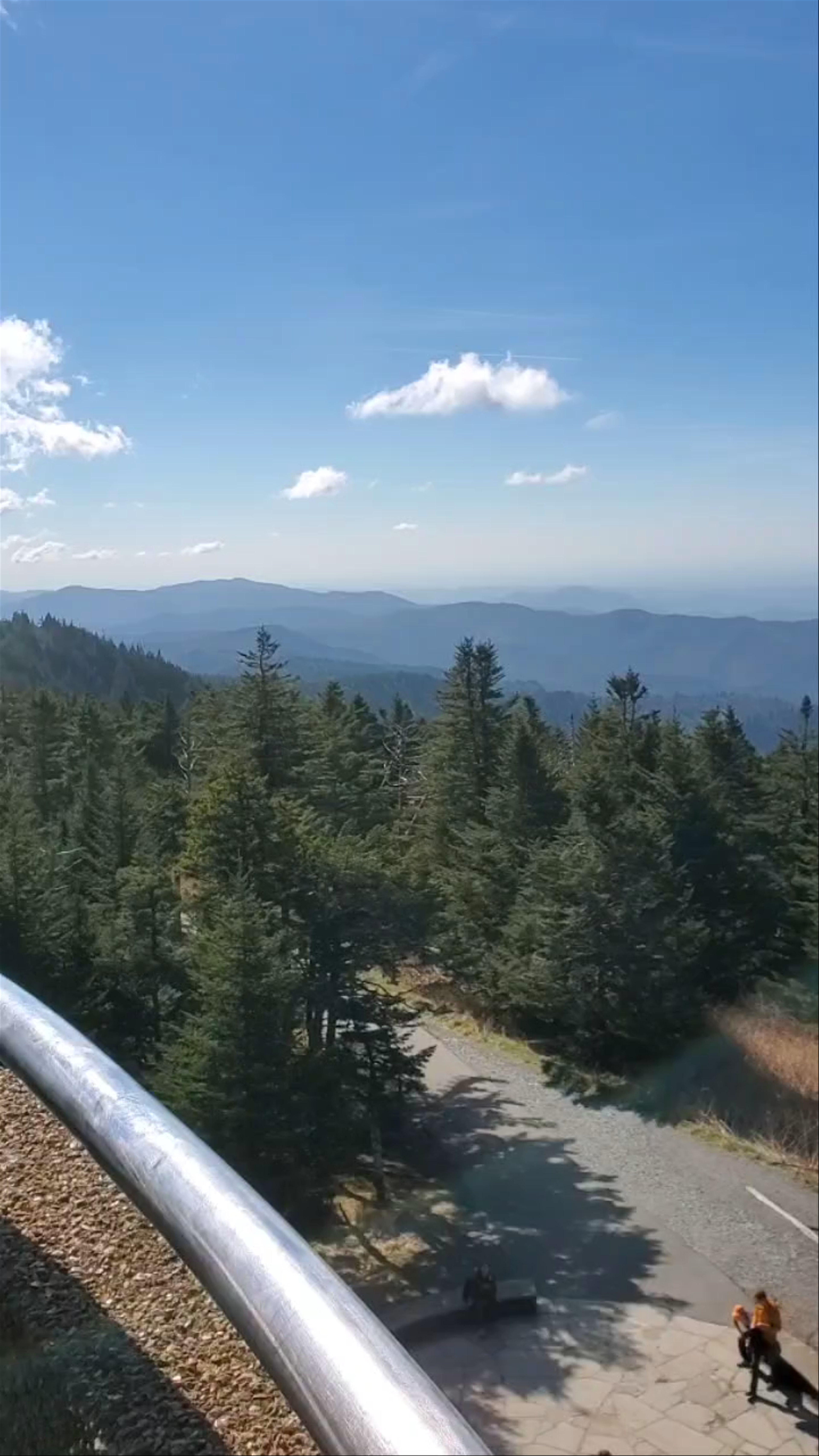 Clingmans Dome