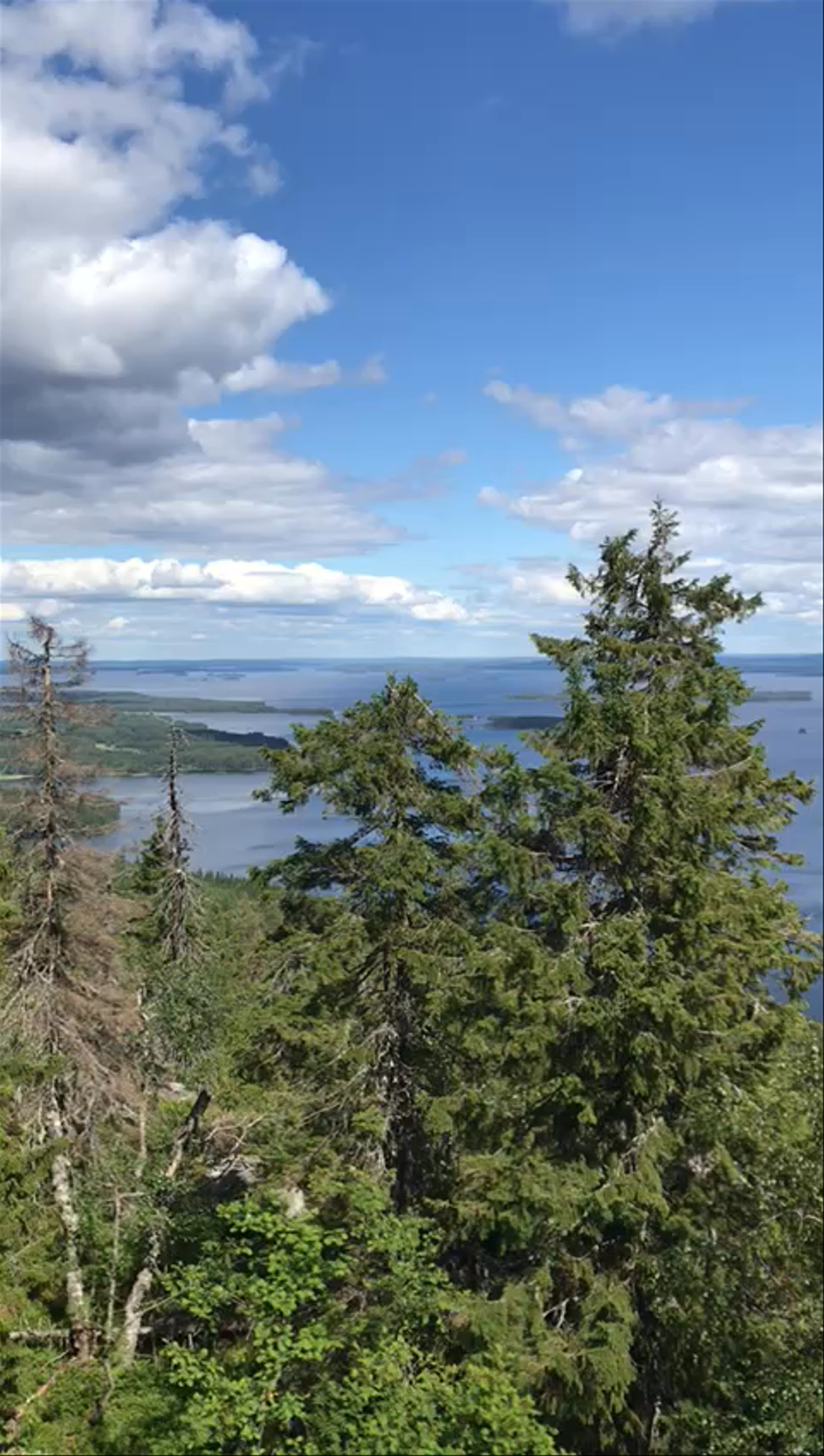 Koli National Park