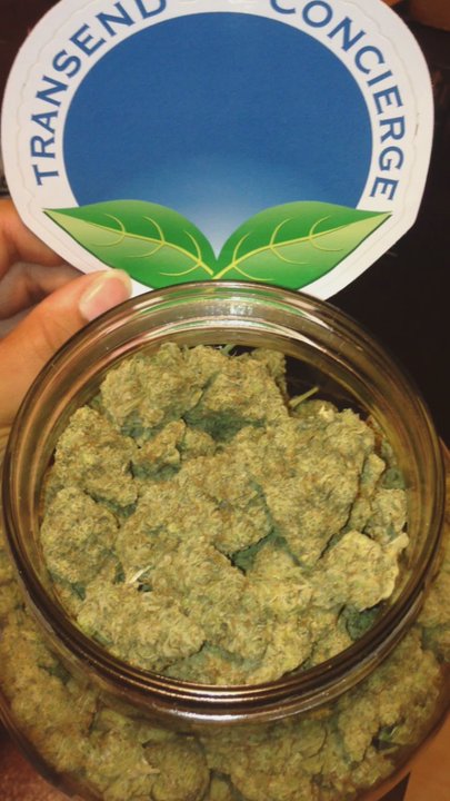 Transend Concierge - Platinum Glue - Cannabis Dispensaries Near Me