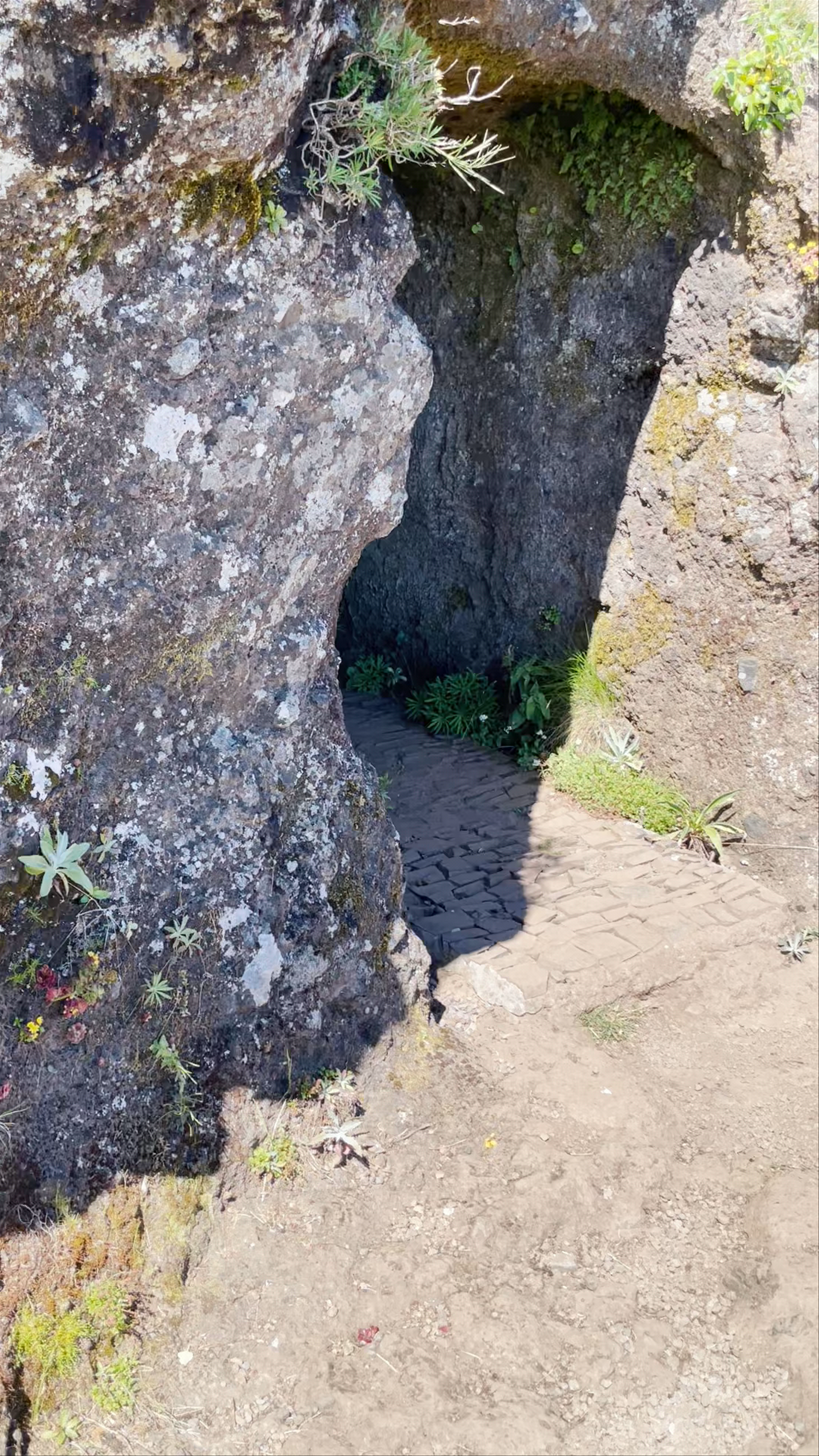 Túnel do Pico do Gato
