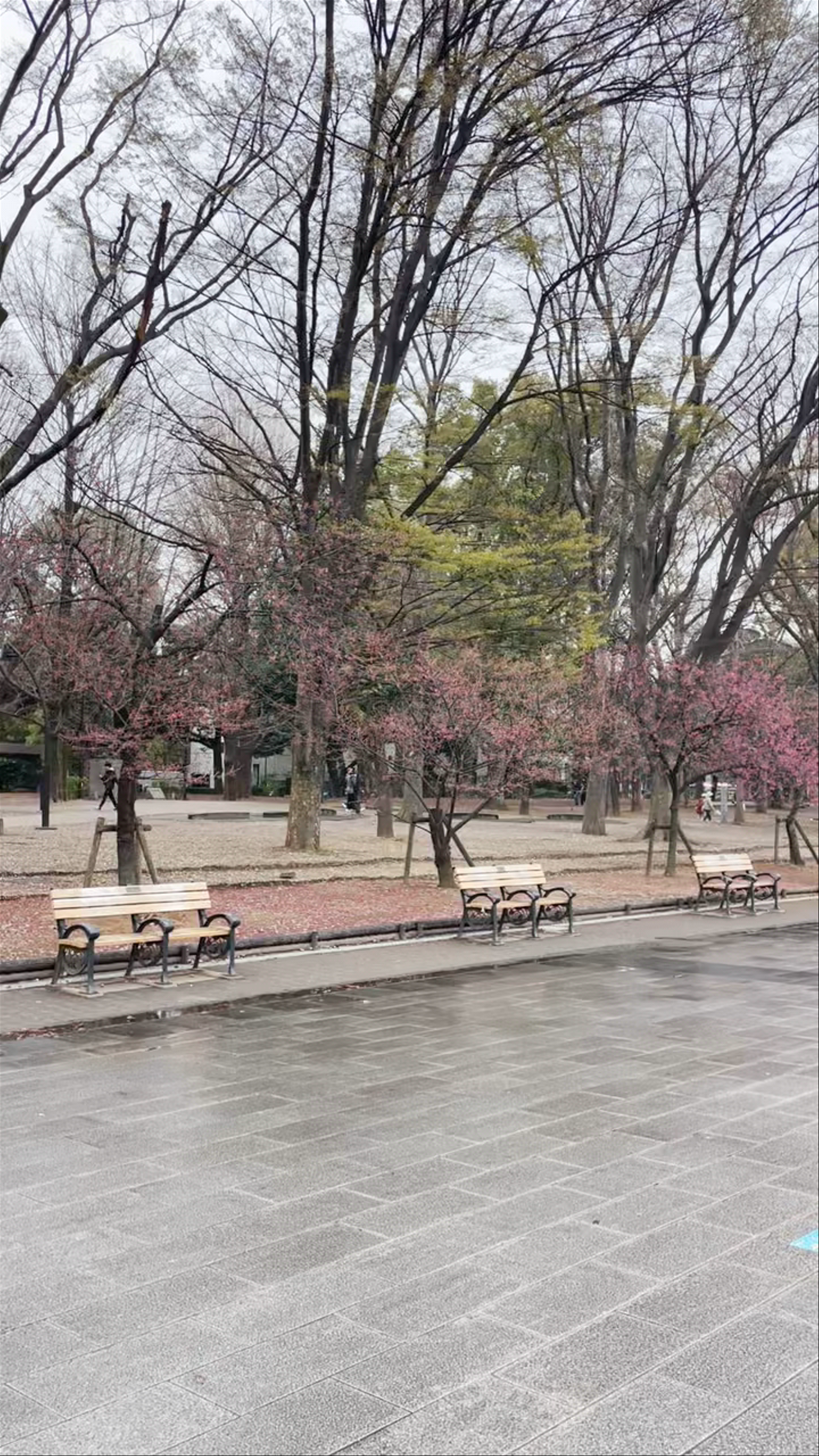 Ueno Park