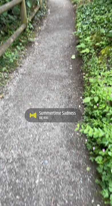 Heritage Park - Little trail - Parks Near Me - Kirkland, Washington