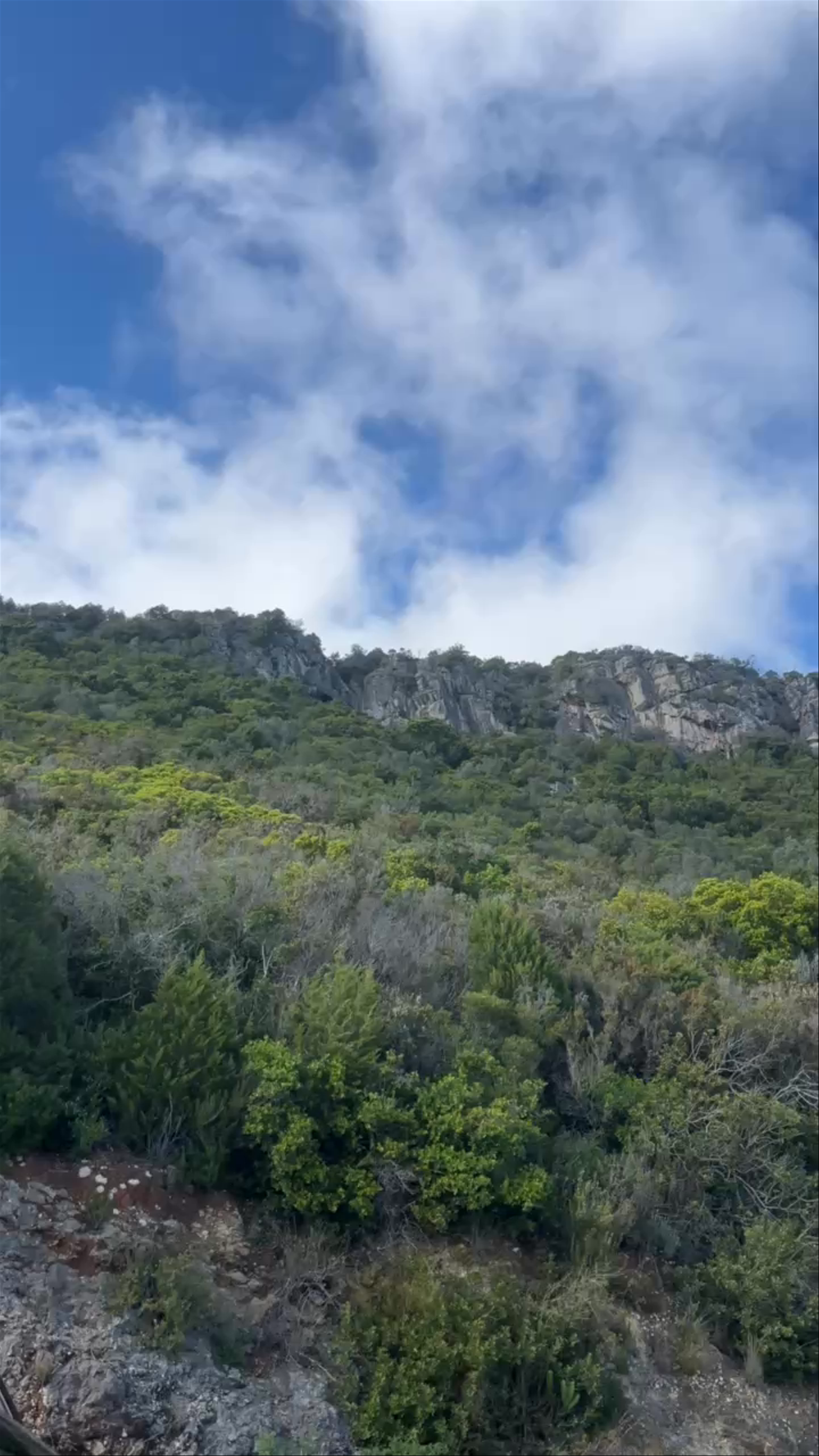 Miradouro do Portinho da Arrábida: Scenic Coastal Views in São Lourenço, Portugal