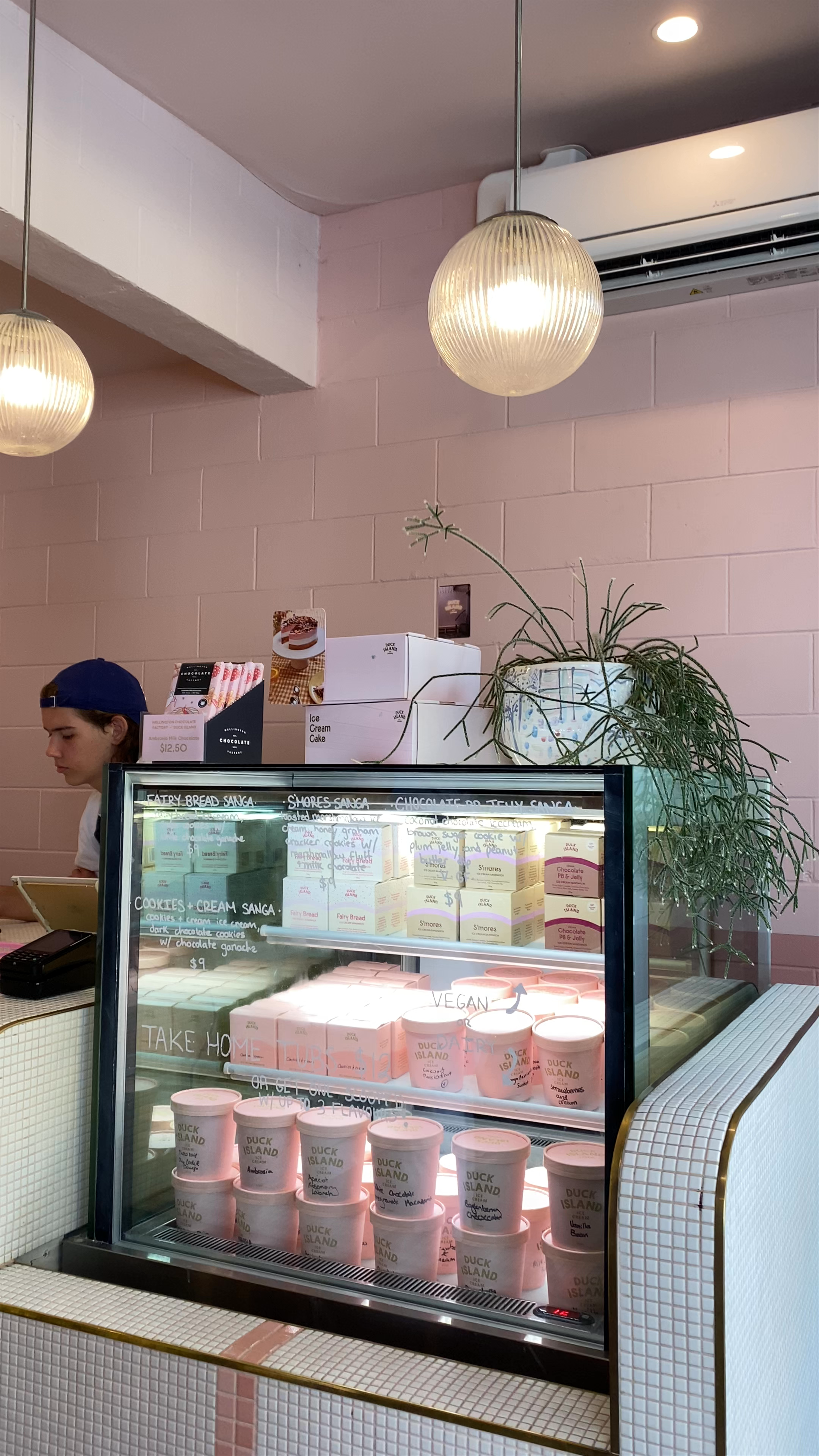 Duck Island Ice Cream Ponsonby Road