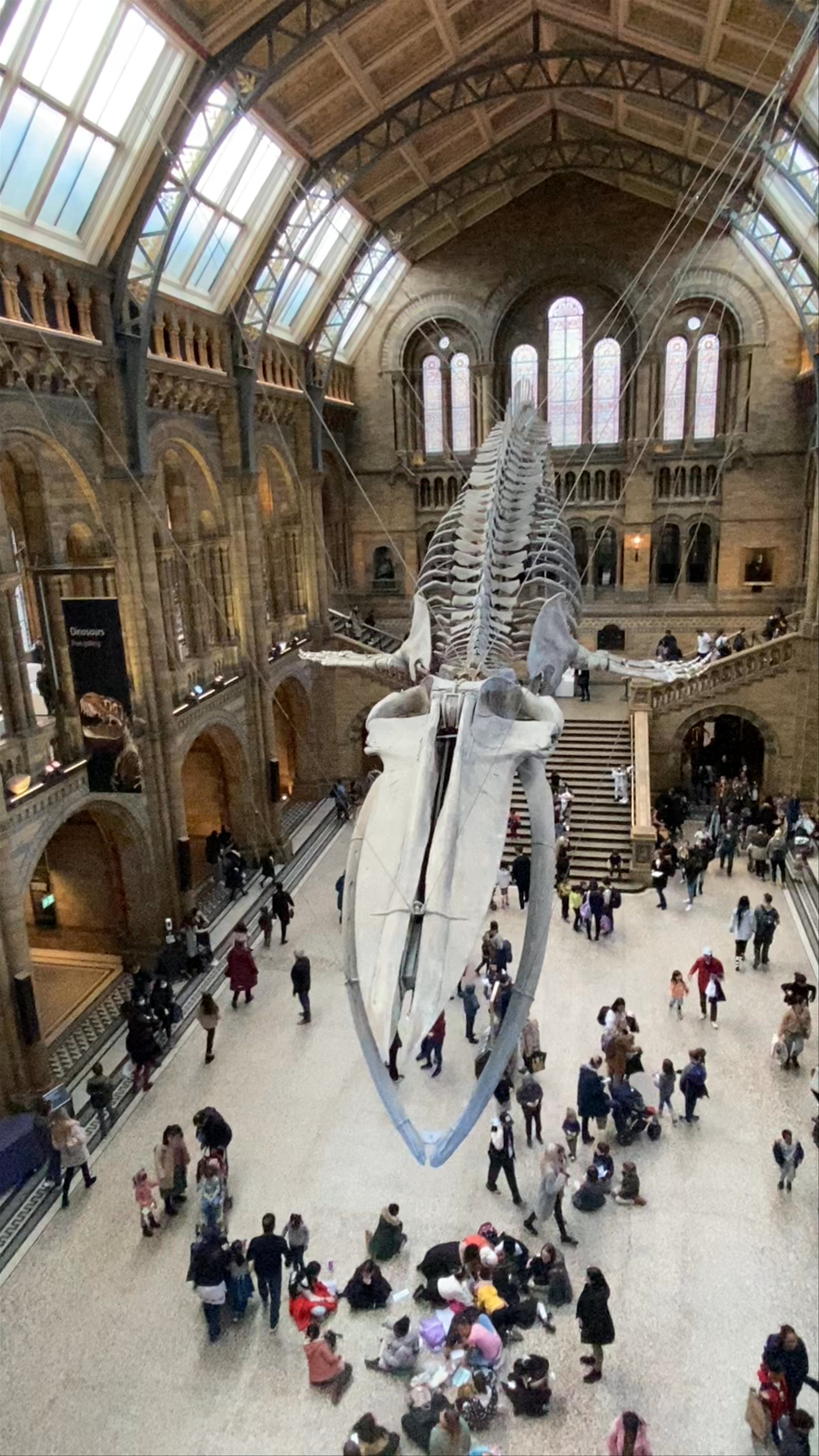 Natural History Museum London: Awe-Inspiring Dinosaur Hall