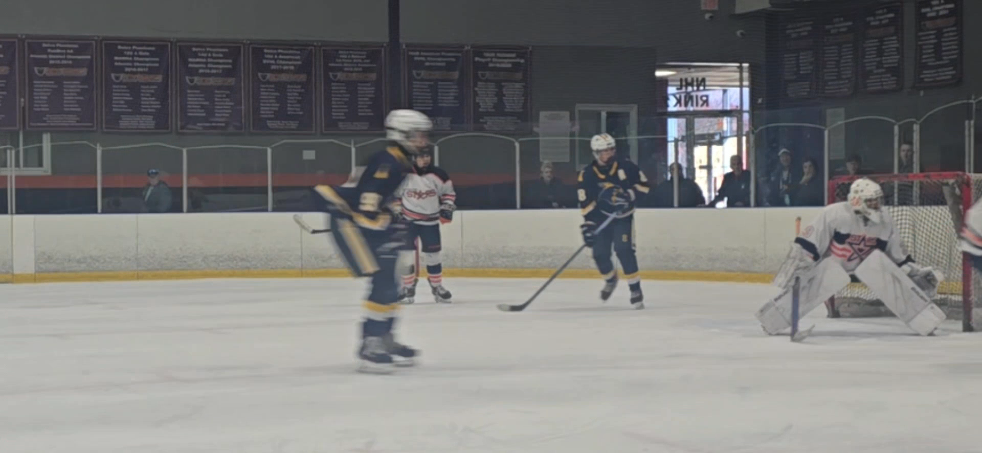 Luke McElwee's Unstoppable Saves | Prestige Stars 16U AA Highlights