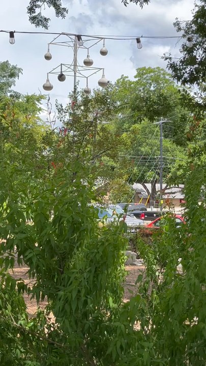 A Little Nature Store - hungry cutie - Home Decor Near Me - Boerne, Texas