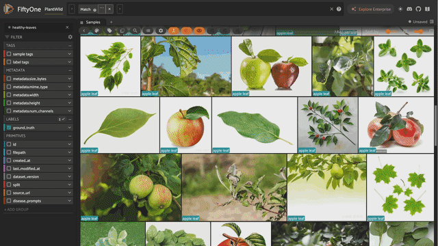 PlantWild in-the-wild plant disease leaf images labeled by class in the FiftyOne app