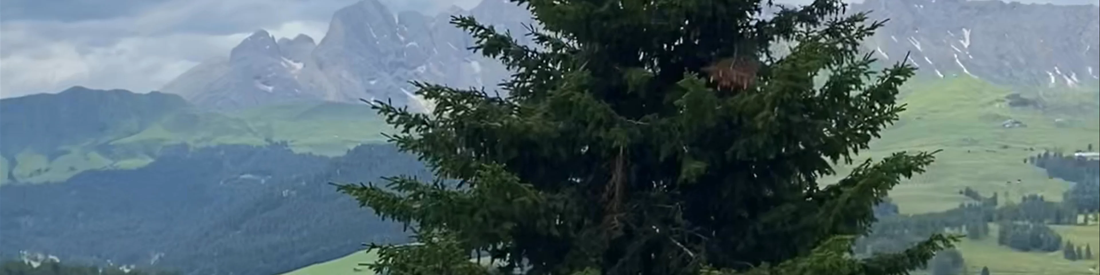 Alpe di Siusi
