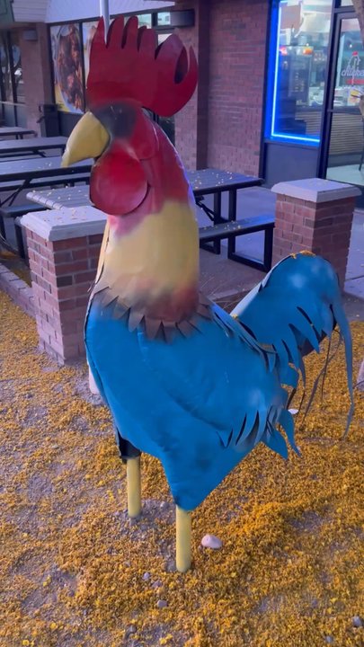 Chickenhug - @chicken.hug       . . #JordanianFood #HalfChickenMeal #ChickenShwarmaMeal #Tempe #Arizona - Chicken Shop Near Me - Tempe, Arizona