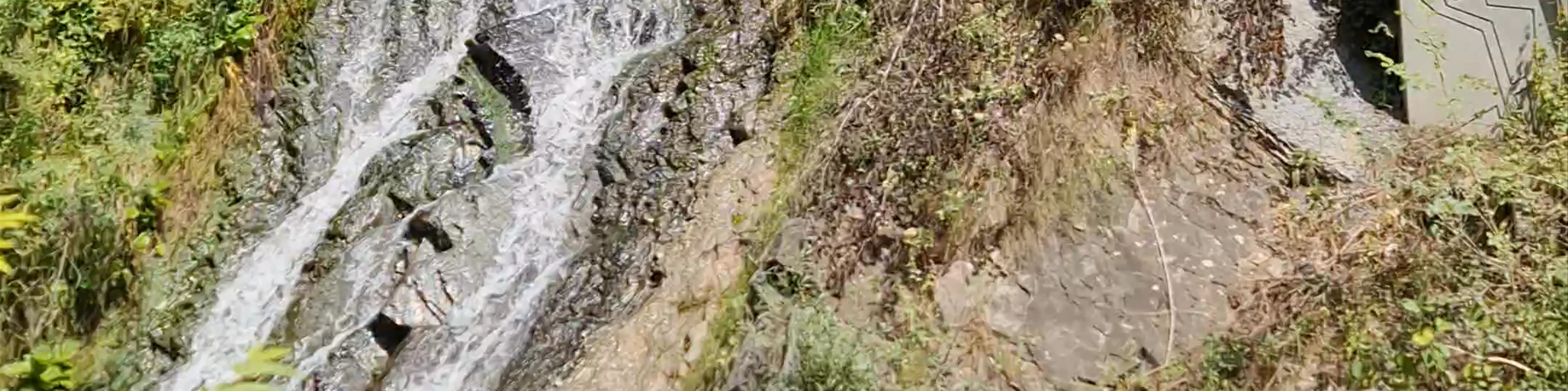 Borjomi Central Park Thermal Spas