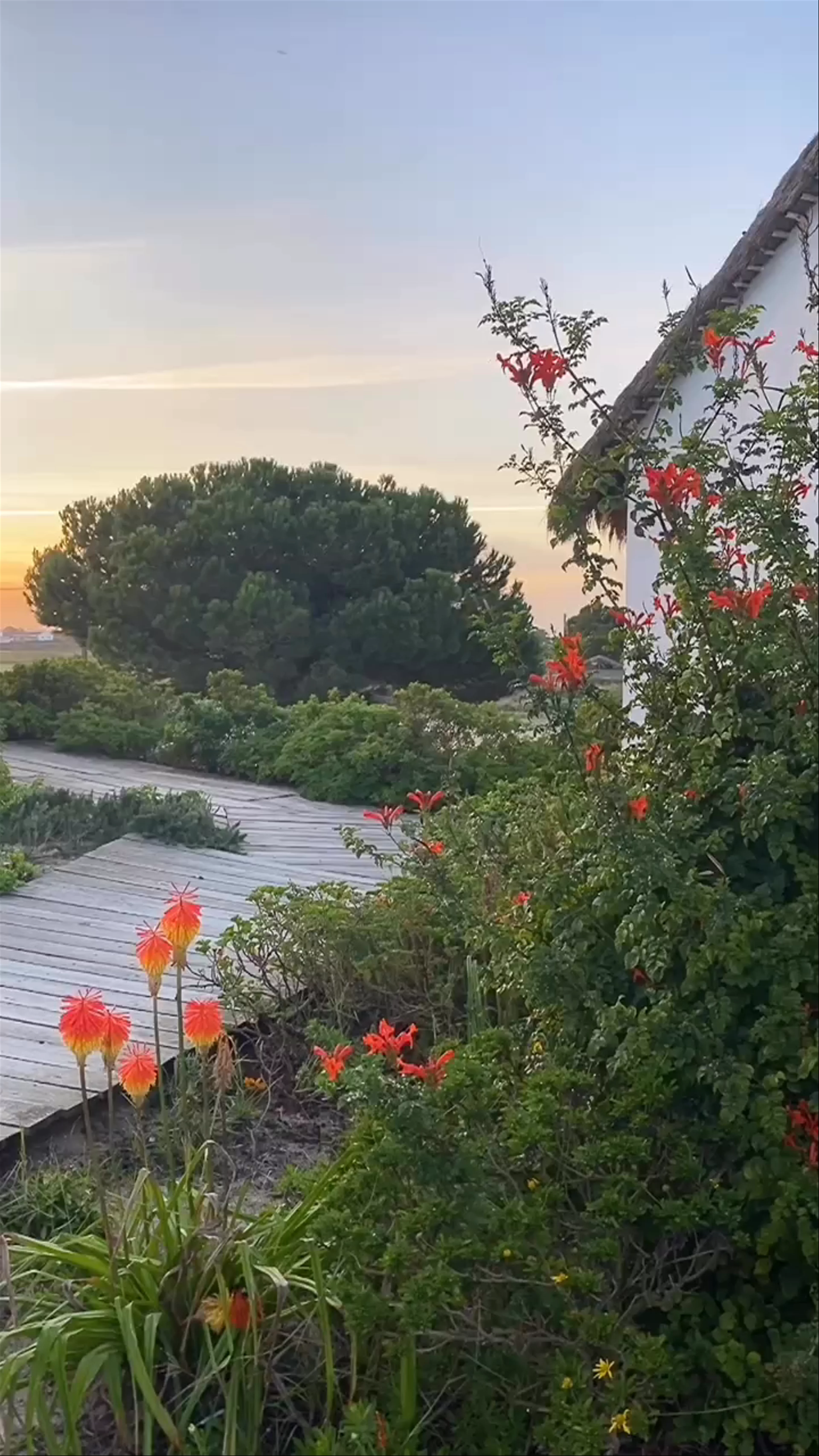 Casas na Areia, Sítio da Carrasqueira