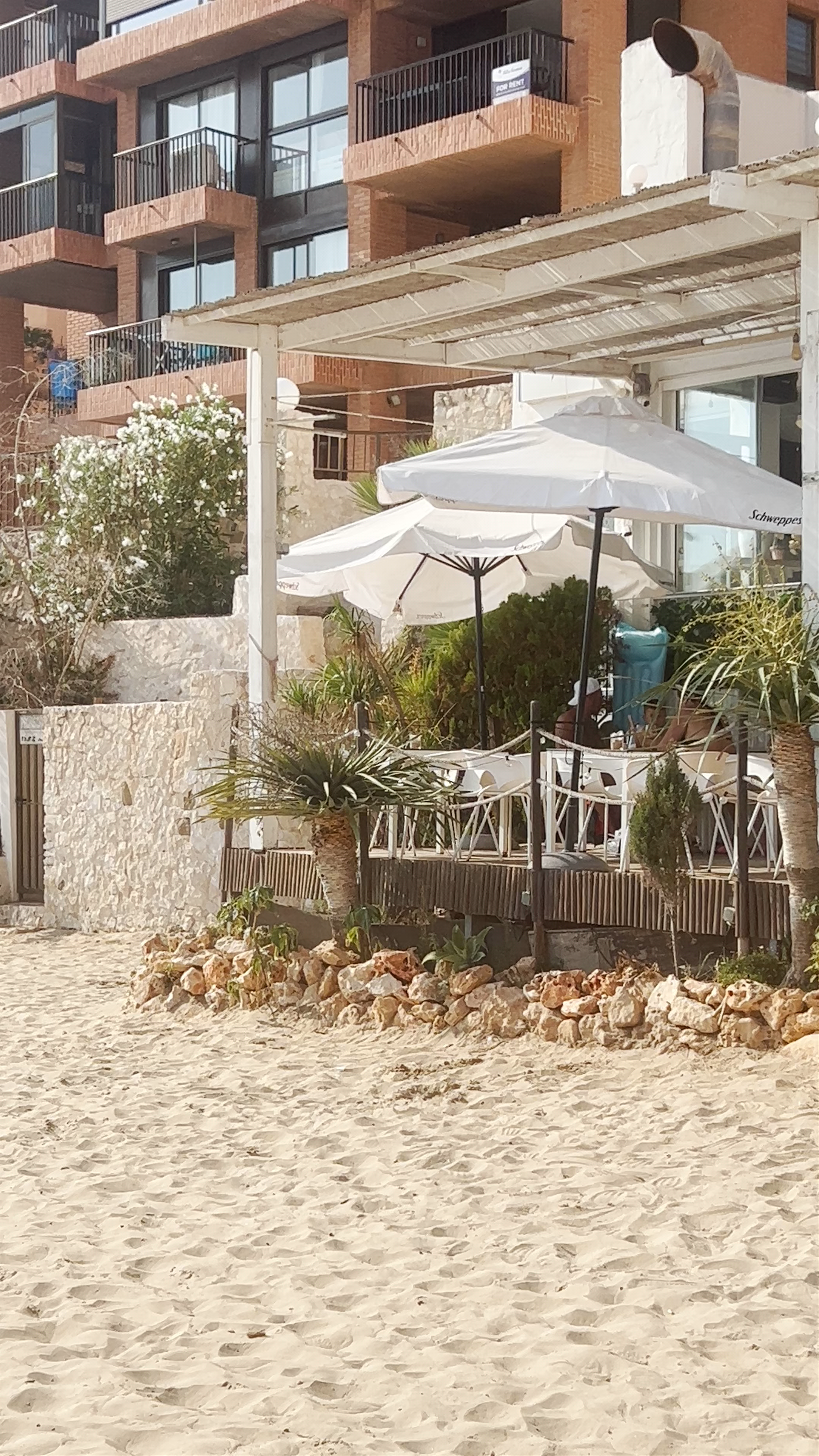 Sunny Beachside Cafe Experience at Explanada del Puerto, Calp