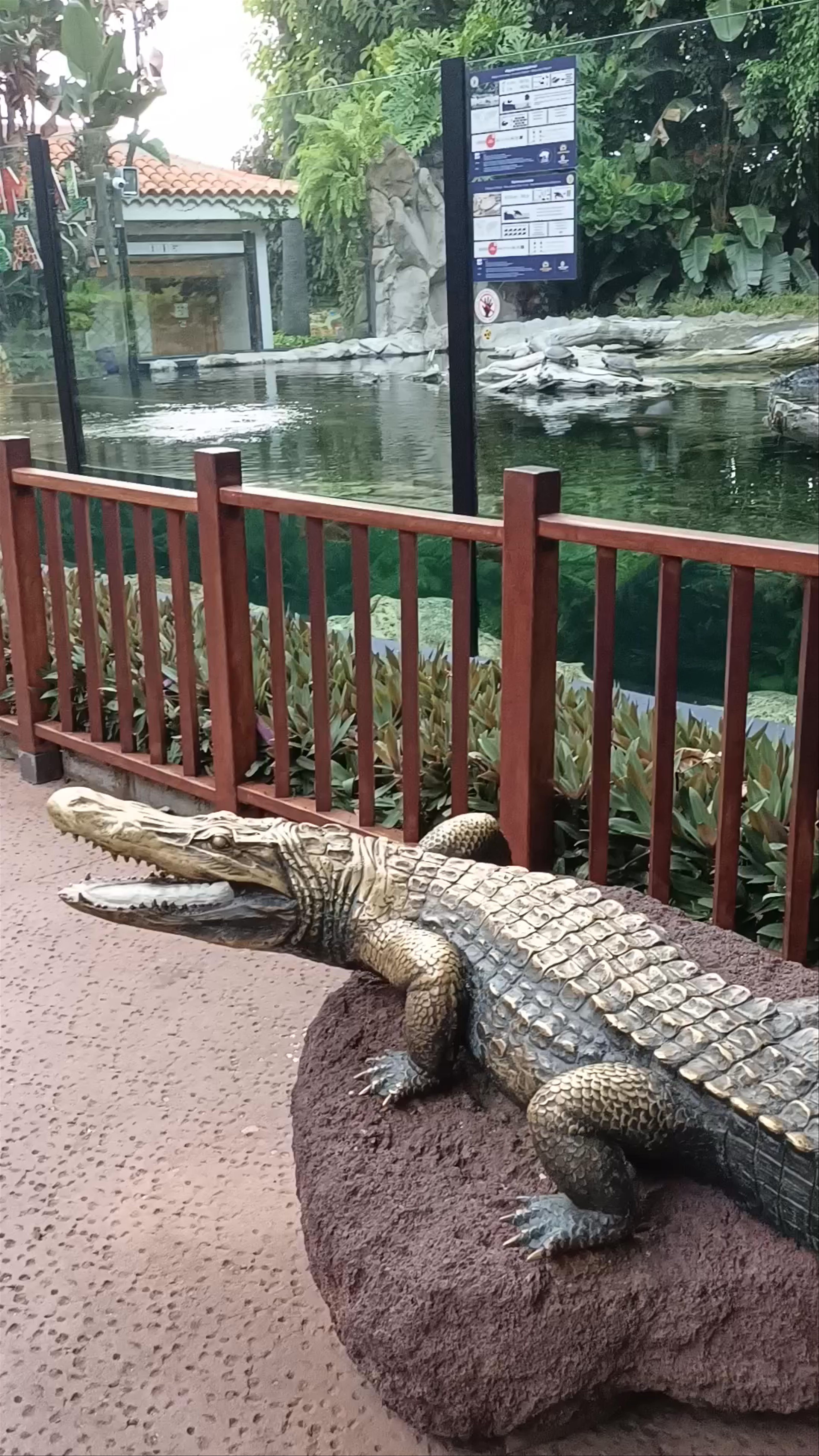 Caimanes y Tortugas at Loro Parque, Puerto de la Cruz