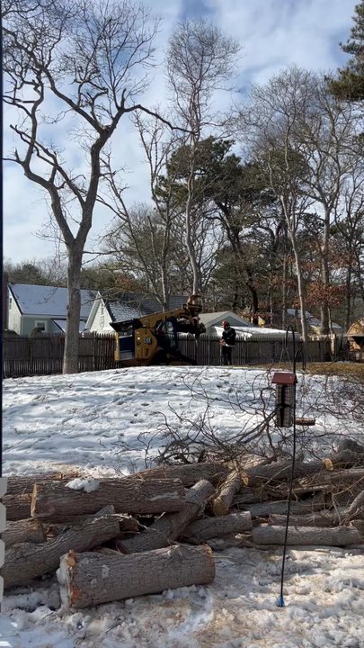 Forest Keepers - Tree Services Near Me - Hyannis, Massachusetts