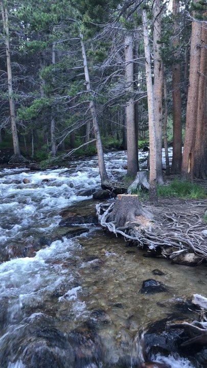 East Fork Campgrounds - Campgrounds Near Me - Mammoth Lakes, California