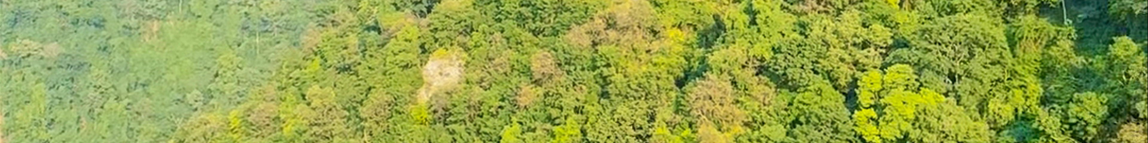 Tours & experiences in Dharān