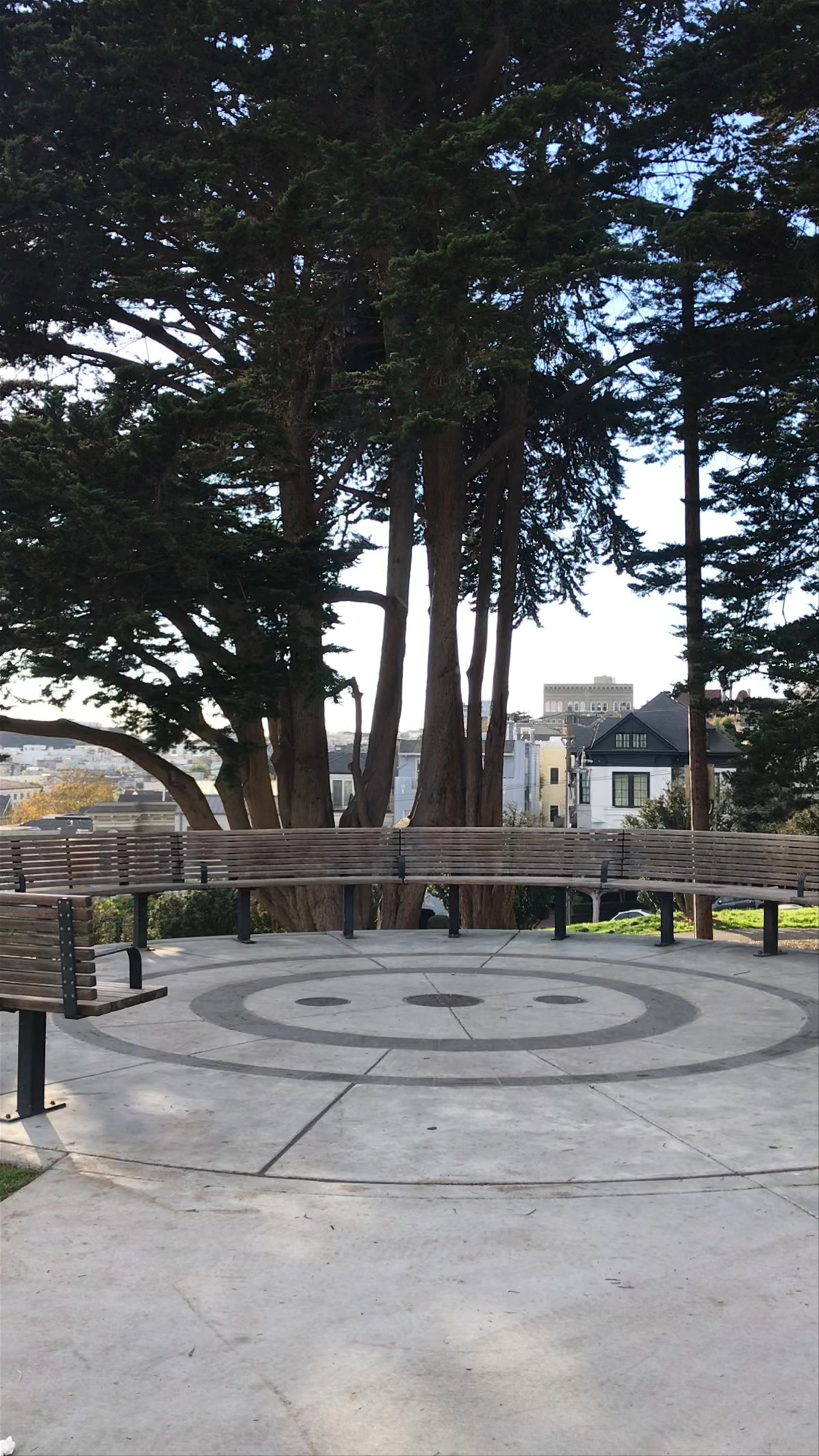 Serene Views and Urban Calm at Alta Plaza Park in San Francisco