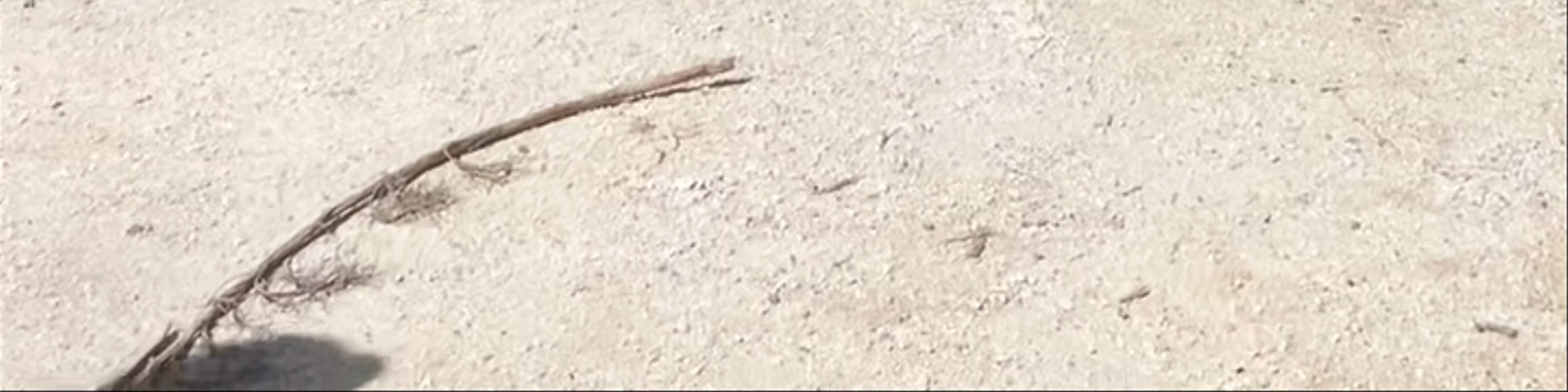 Tulum Archaeological Zone