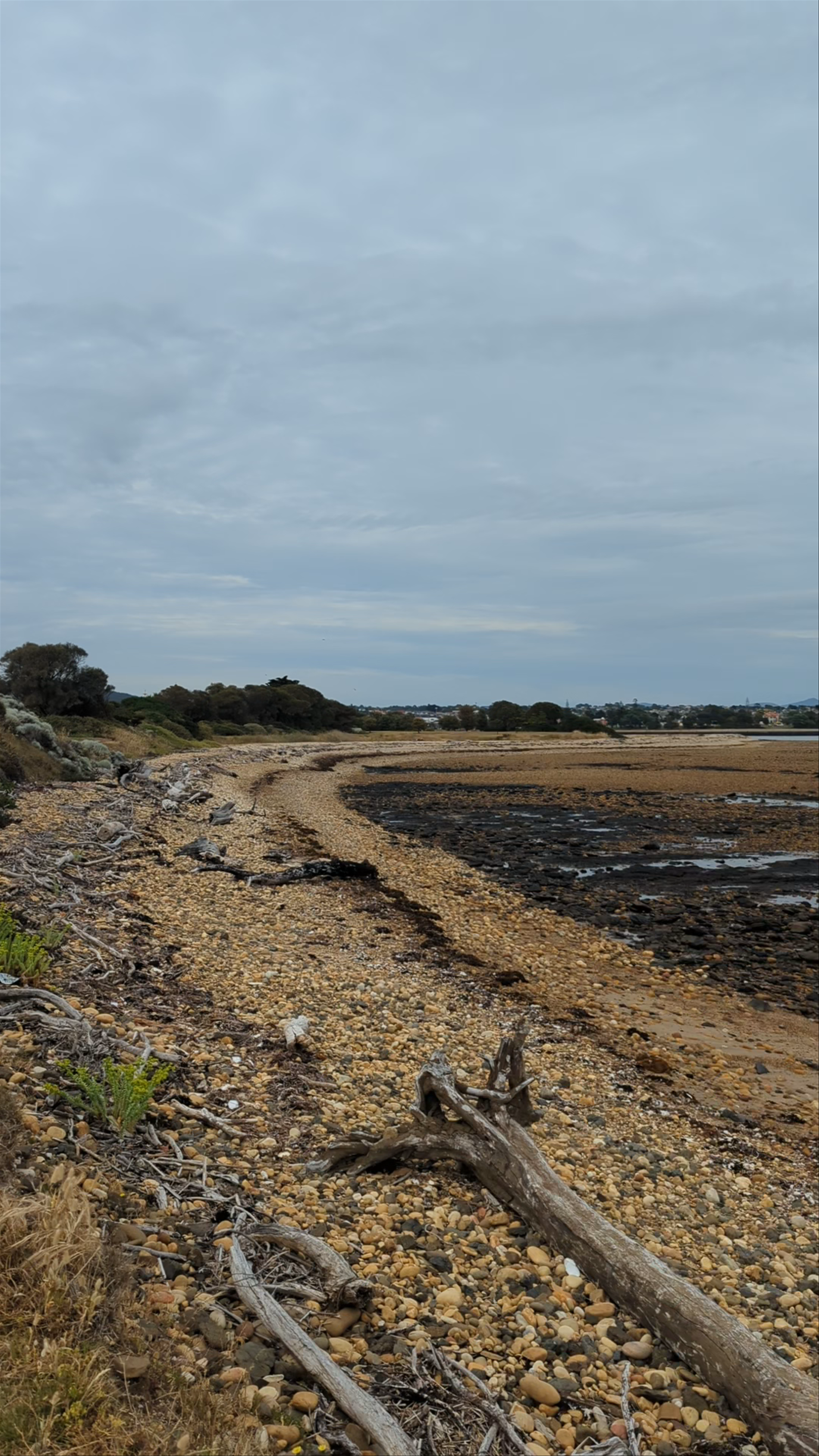 Pardoe Beach