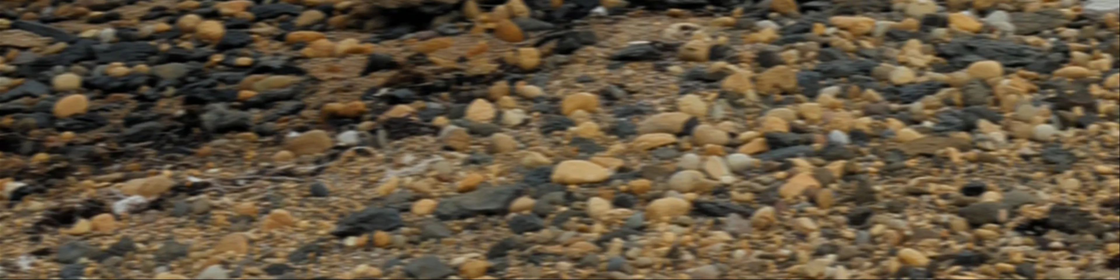Pardoe Beach