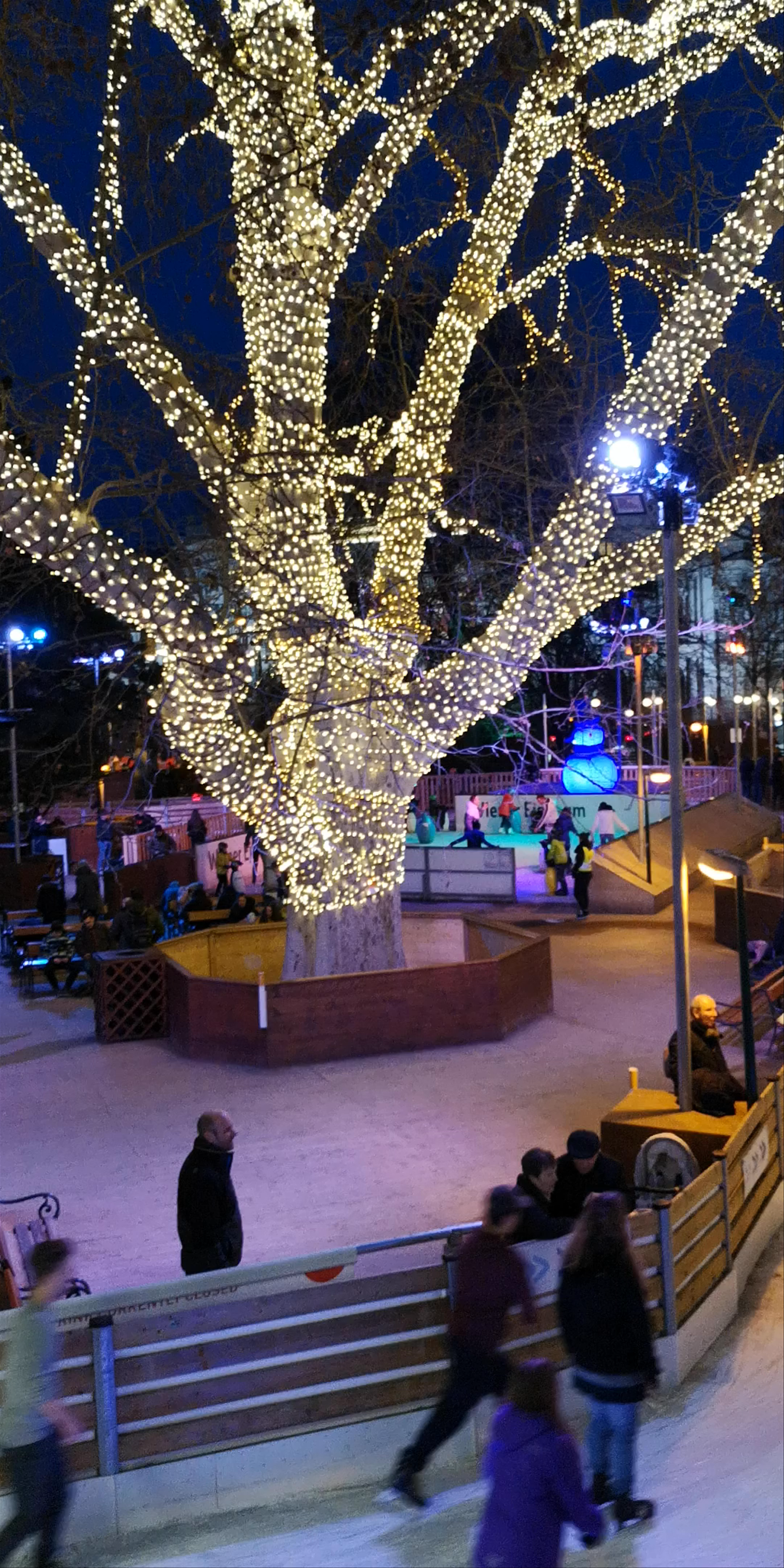 Winter Ice Skating at Rathausplatz Vienna - Magical Night Lights Experience