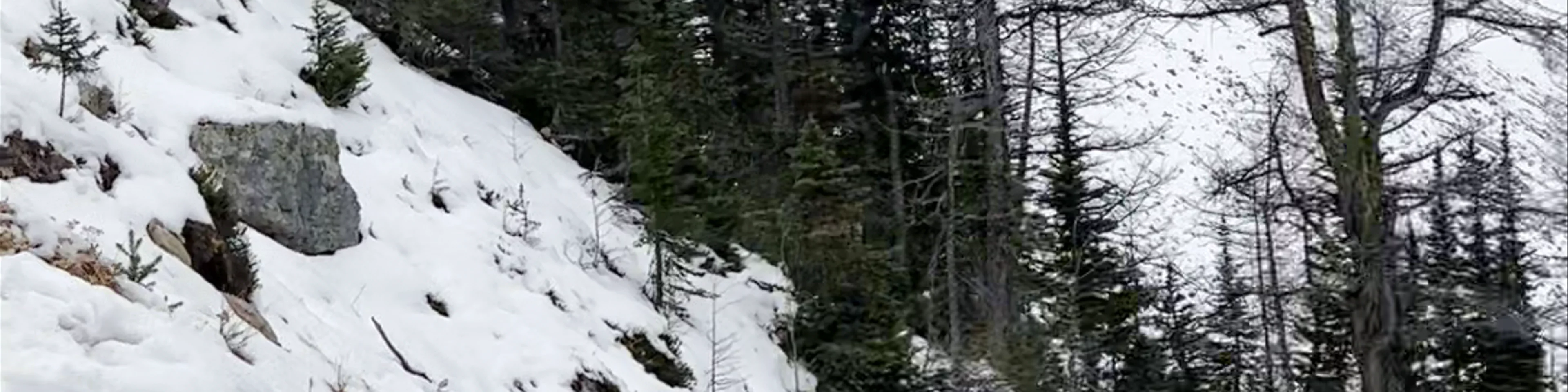 Lake Agnes Trail