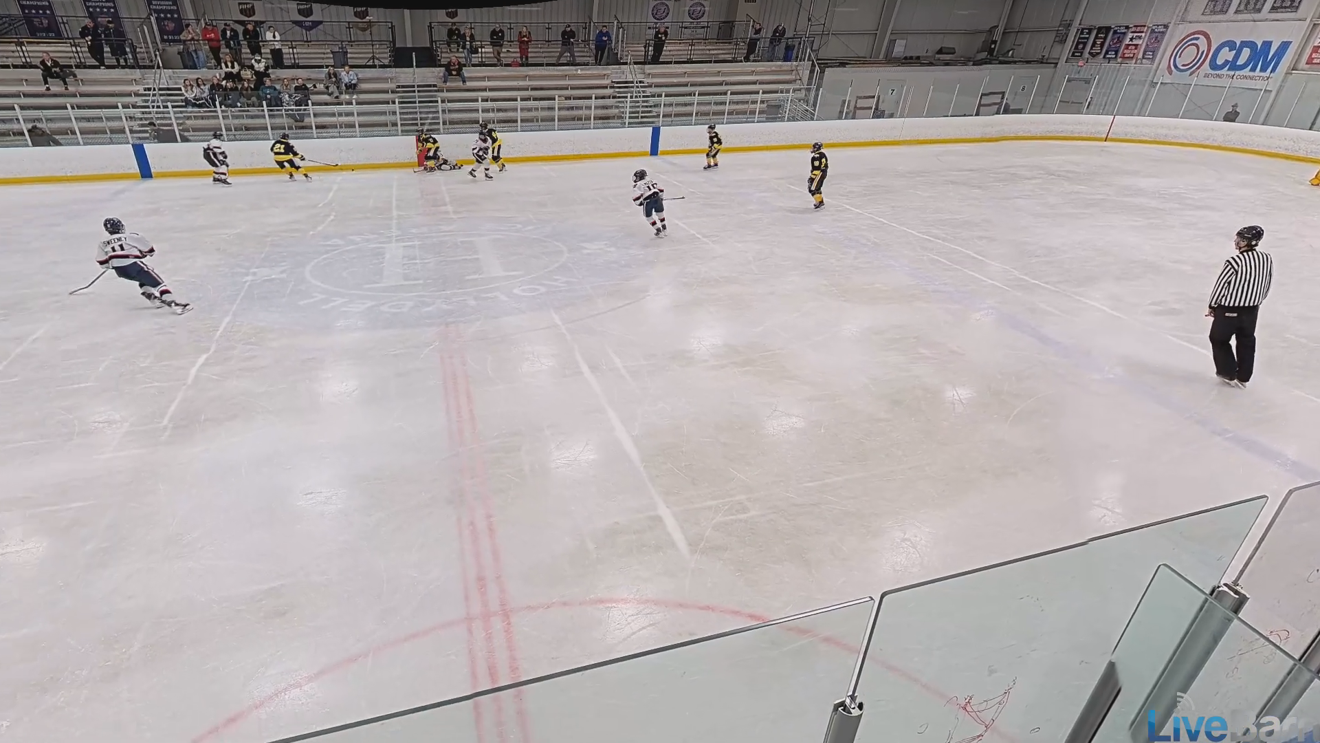 Brian Kirkpatrick's Defensive Masterclass | North Jersey Avalanche 13U AAA