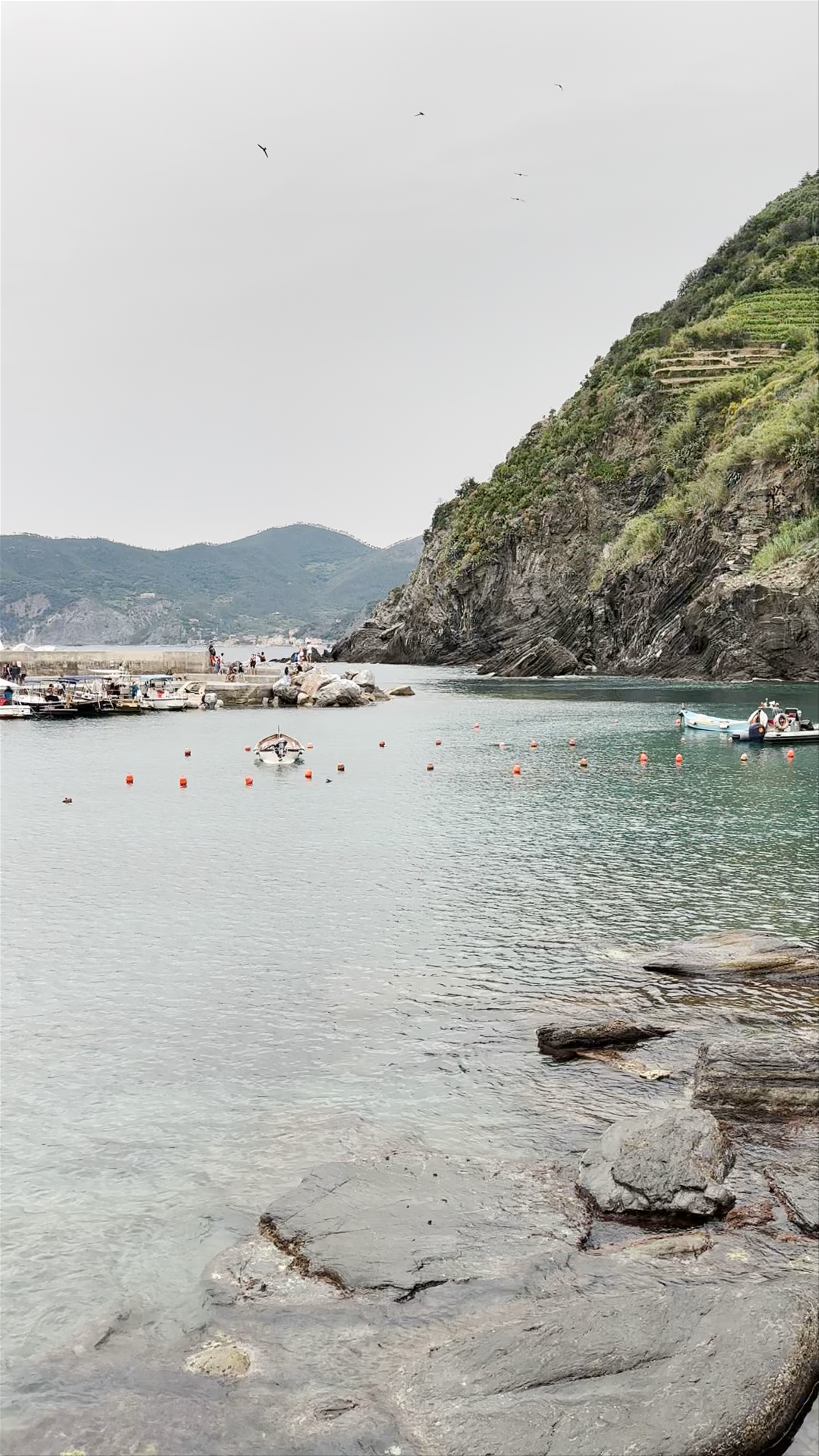 Vernazza Beach