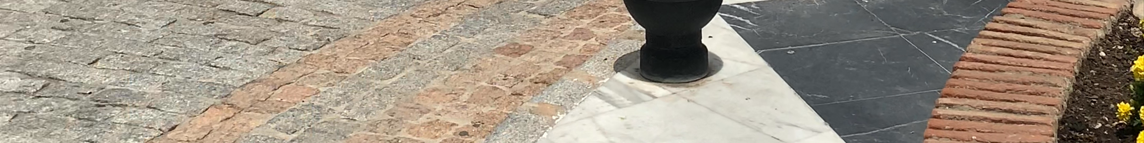 Tours & experiences in Benalmádena