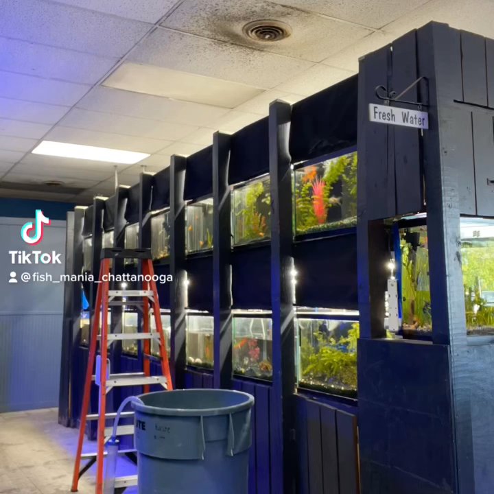 Fish Mania - Pet Stores Near Me - Chattanooga, Tennessee
