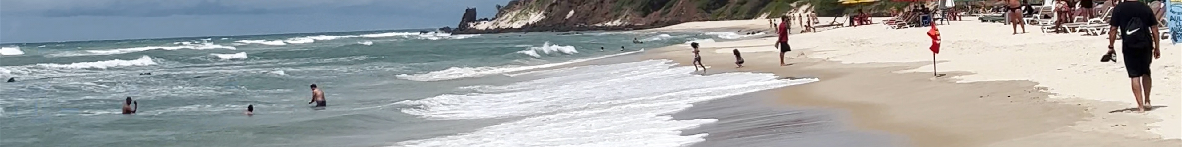 Tours & experiences in Rio Grande do Norte