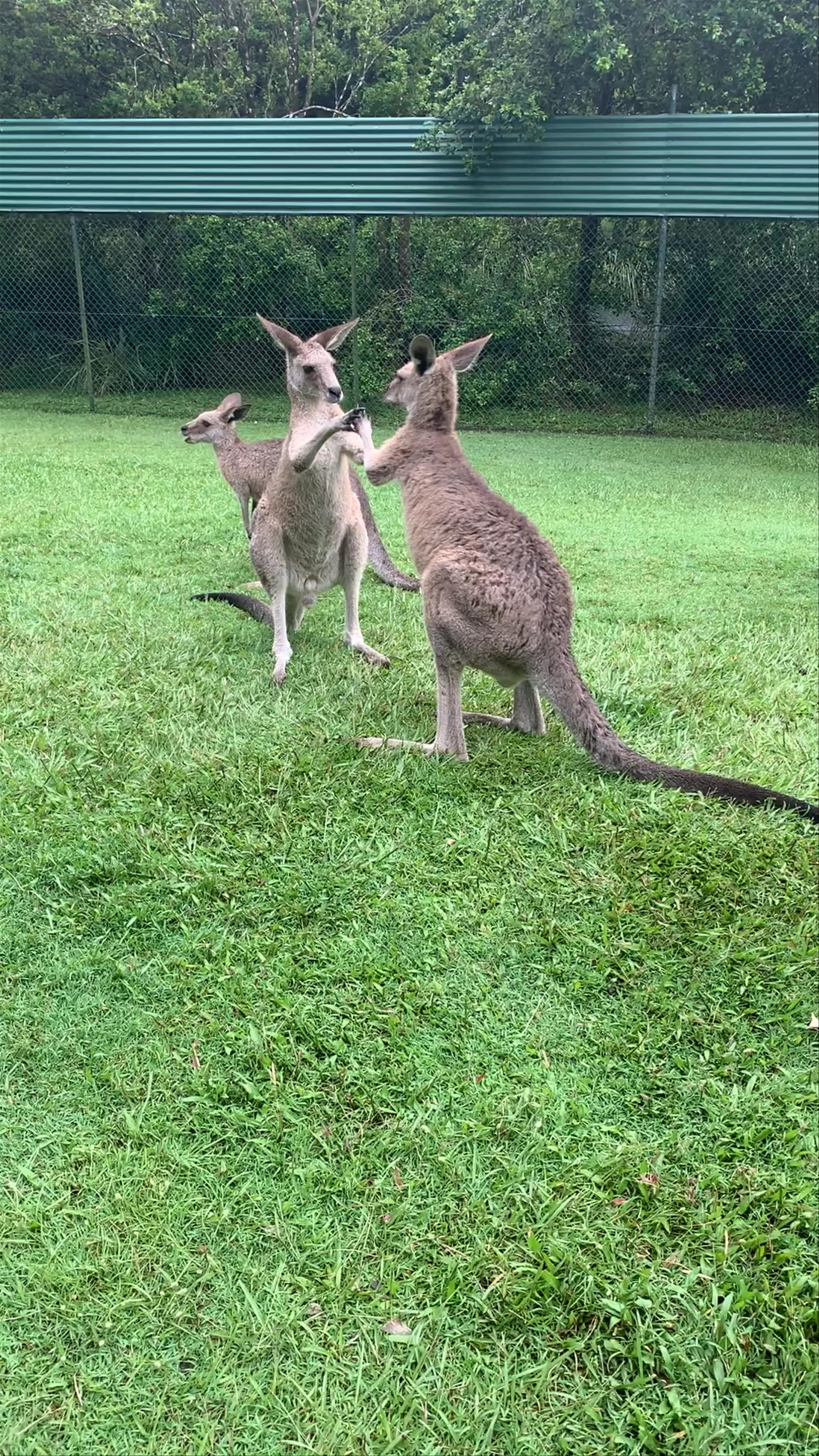 Australia Zoo
