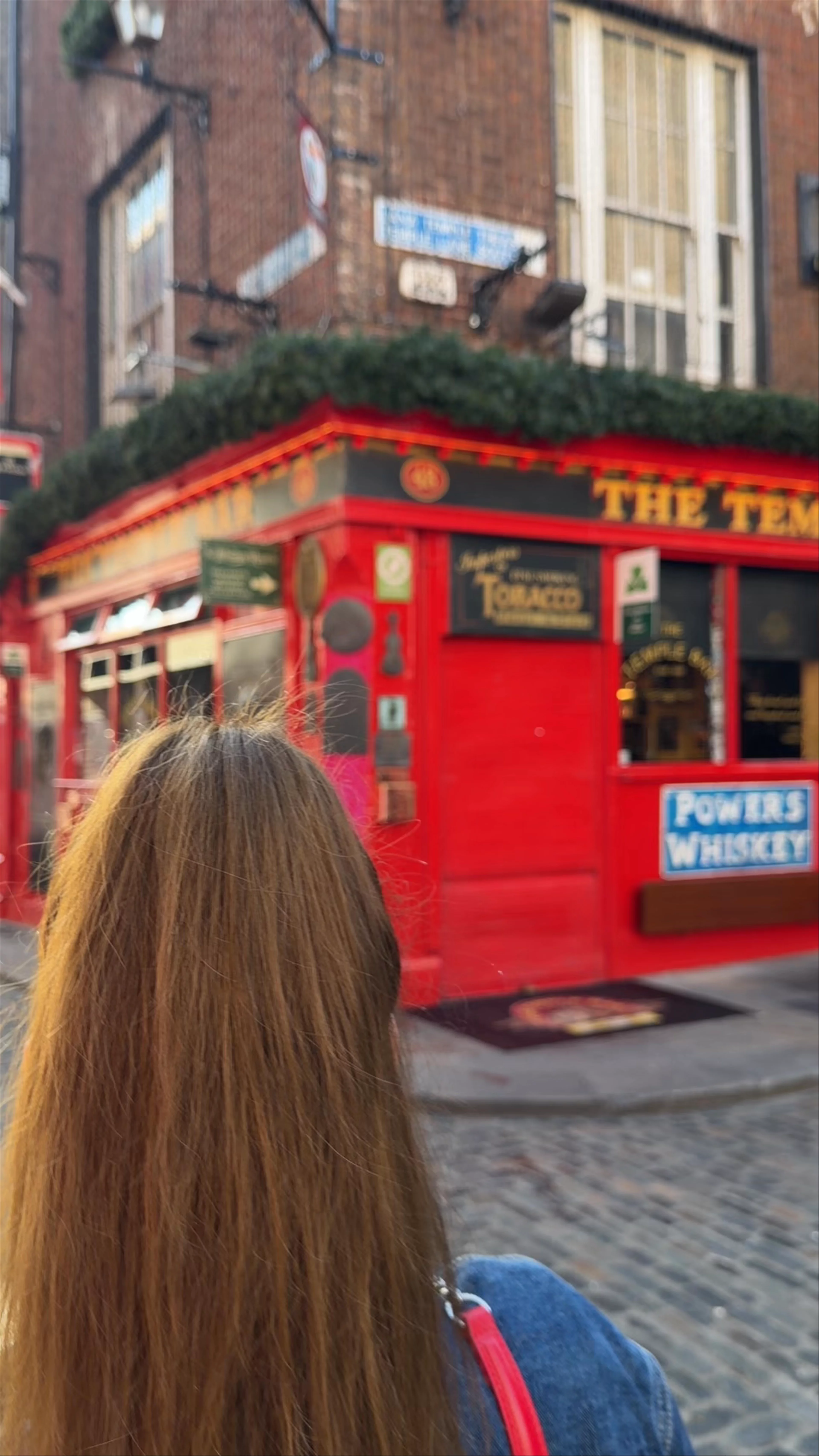 The Temple Bar Pub, Temple Bar, Dublin 2, Ireland