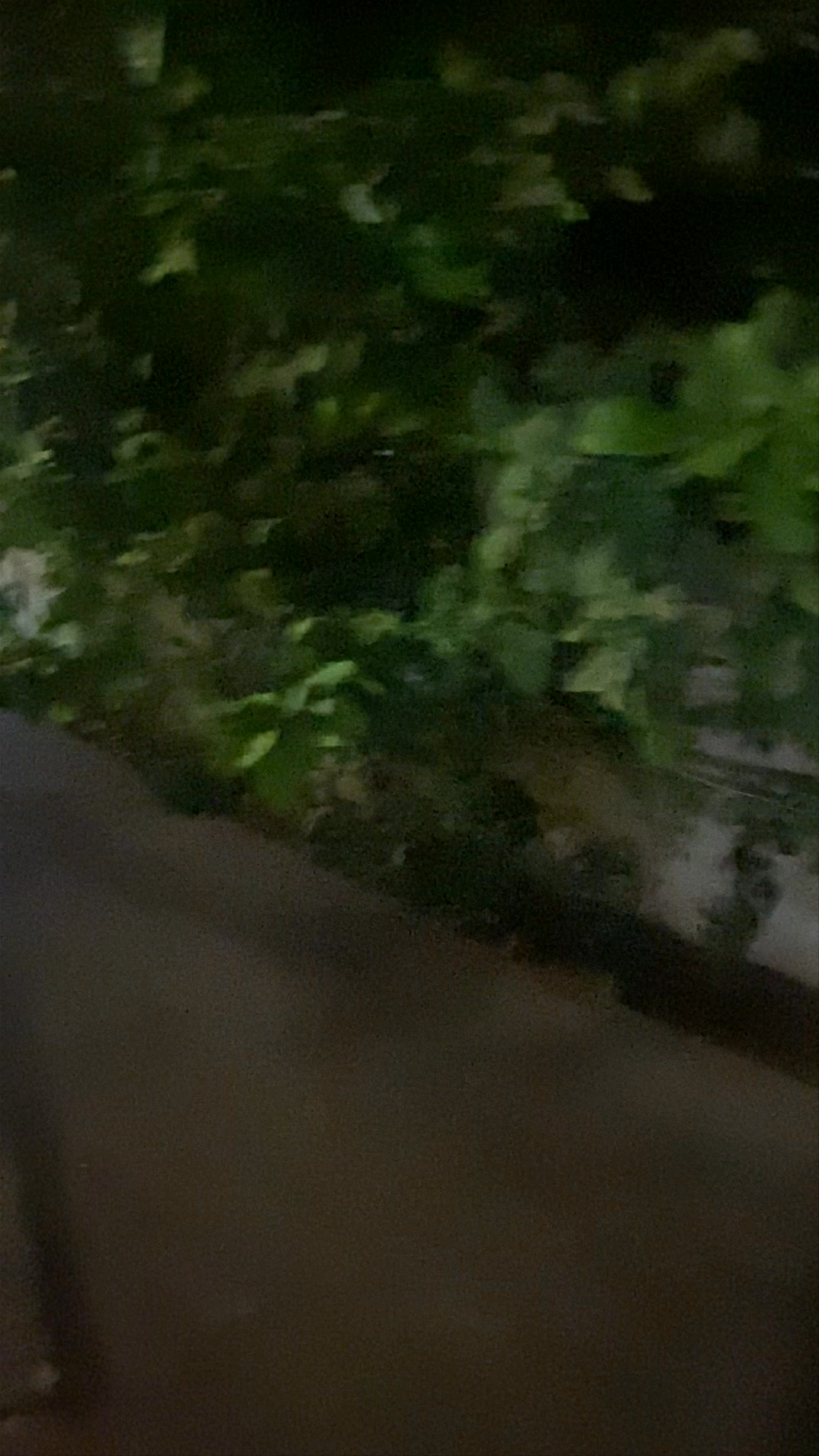 Simos magic apartments 1