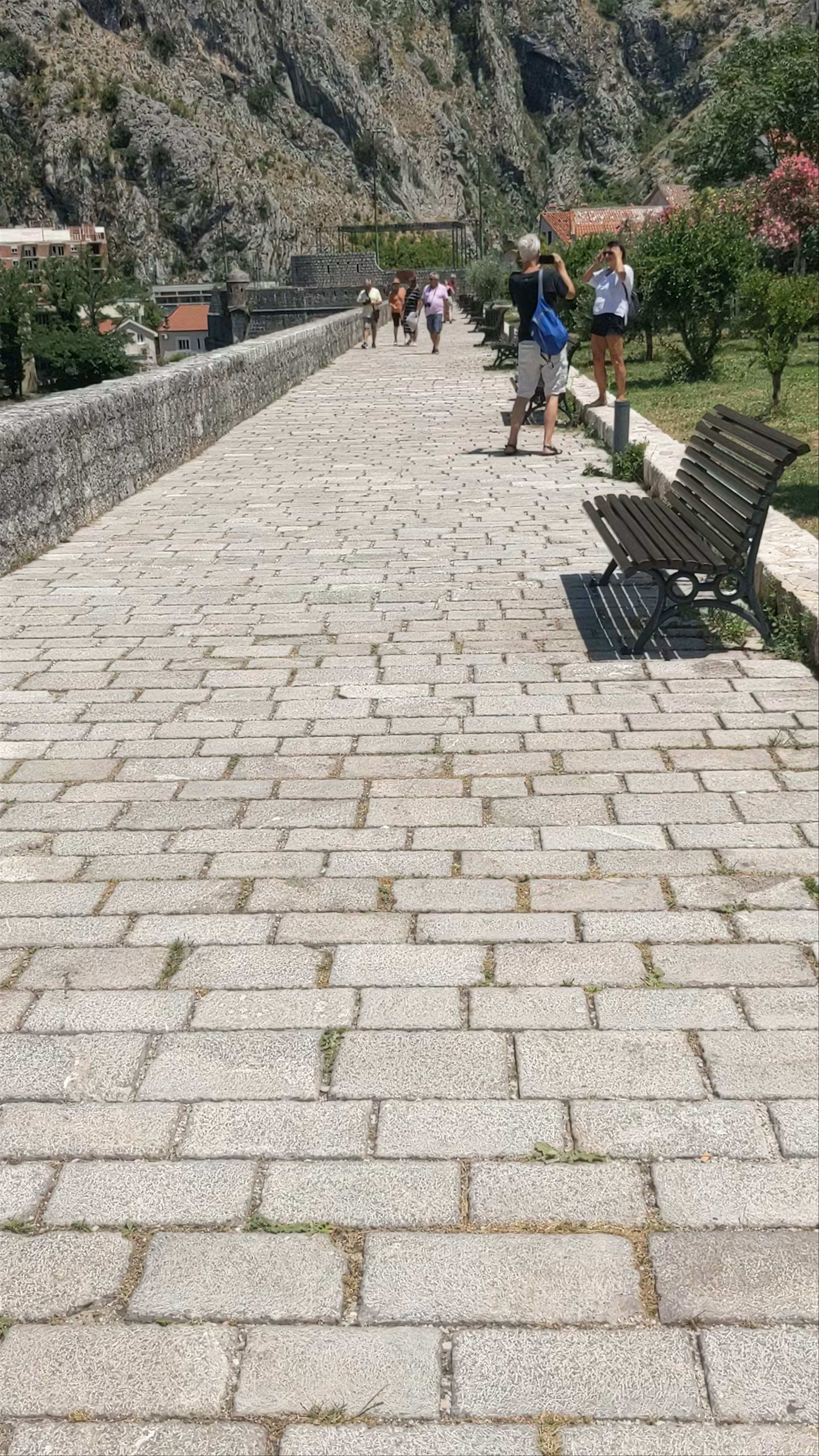 Cathedral of Saint Tryphon: Historic Serenity in Kotor, Montenegro