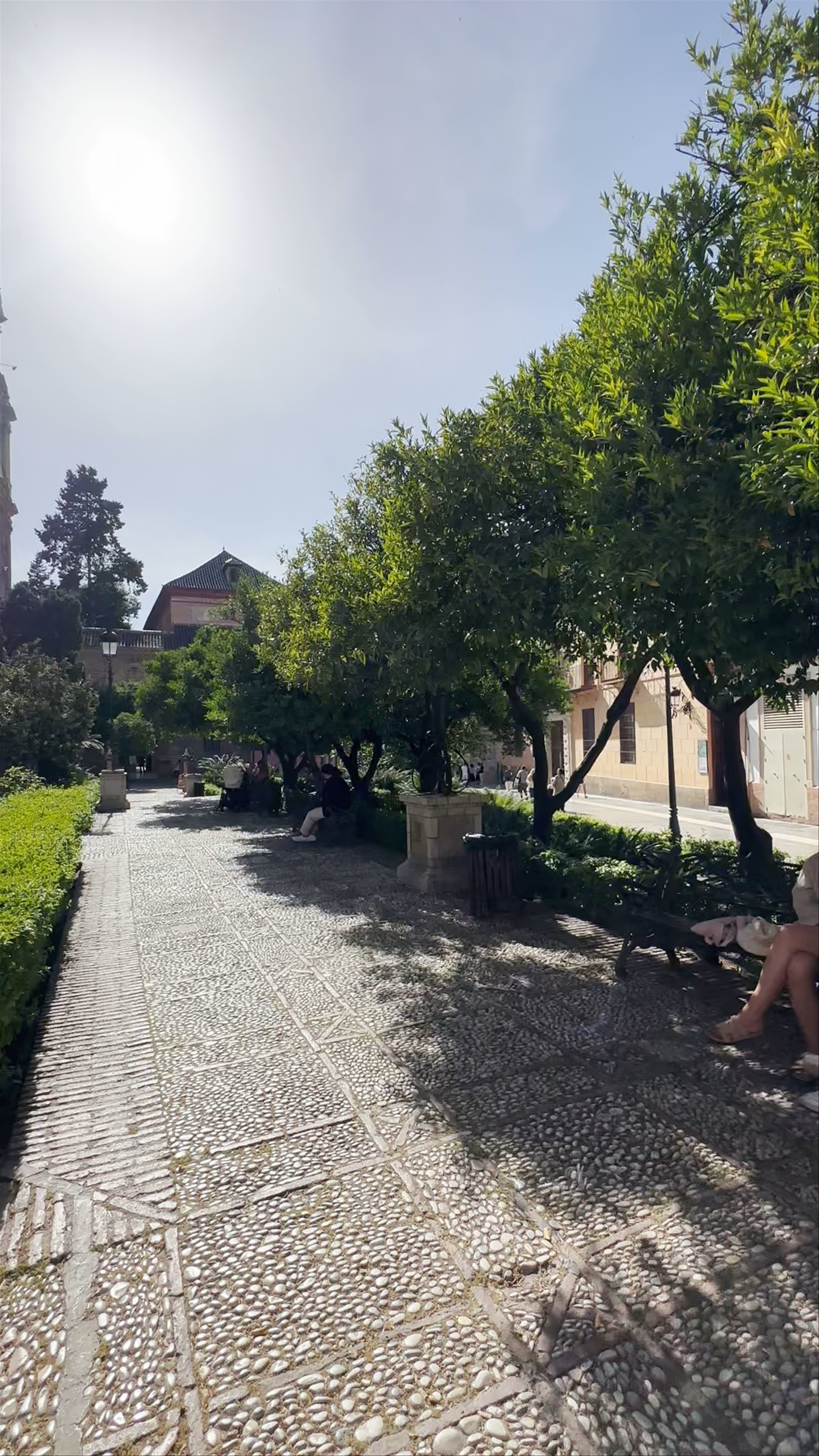 Jardines de La Catedral