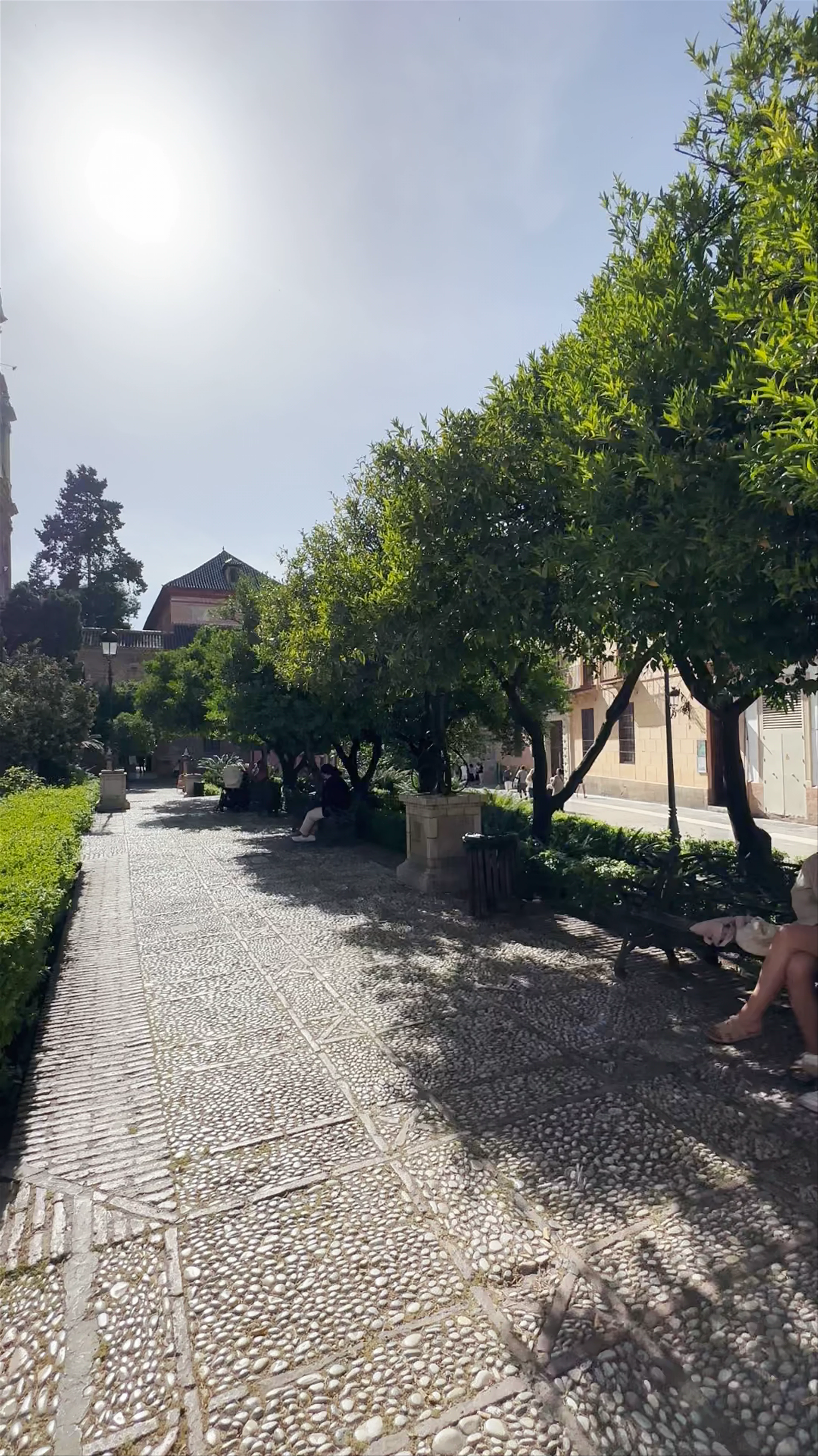 Jardines de La Catedral, Calle Císter