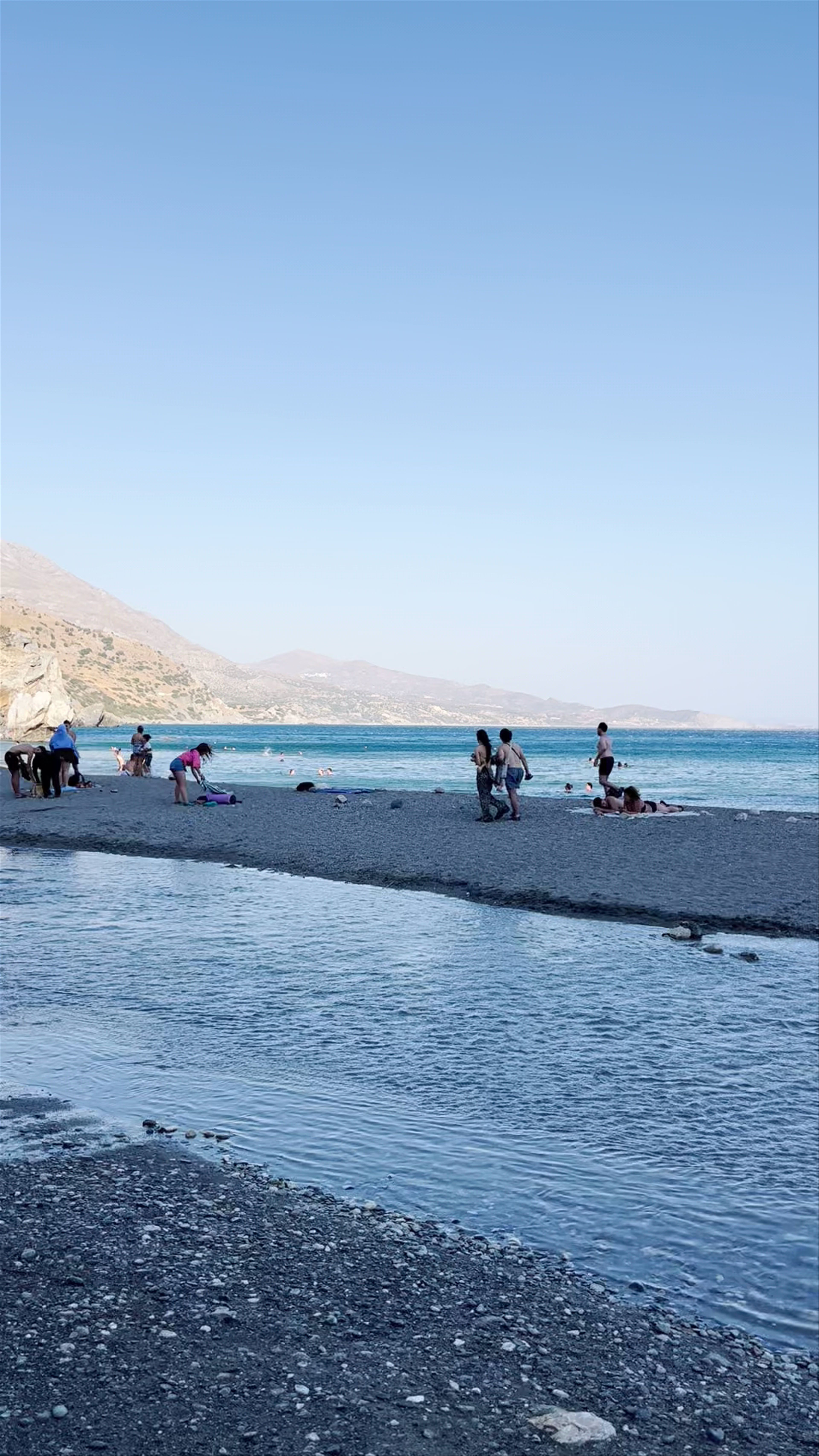 Preveli Palm Forest