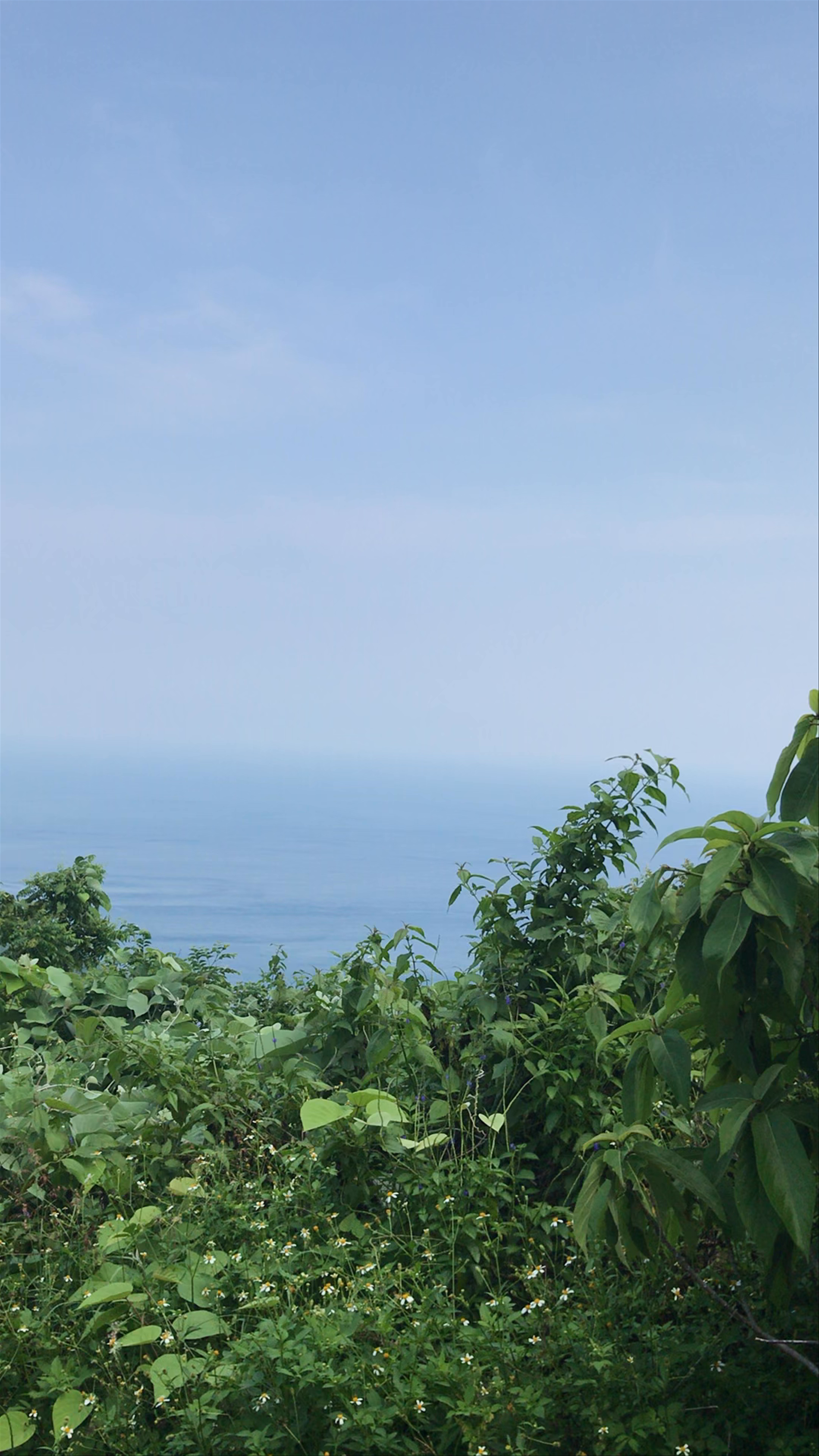 Sơn Trà Mountain: Lush Coastal Views Above Da Nang