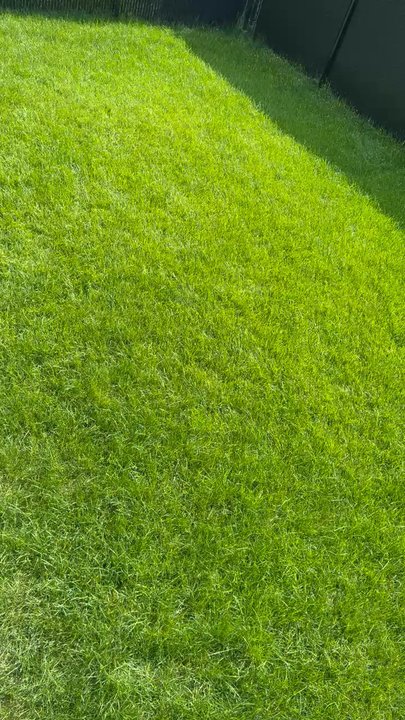 Vision Gazon - My beautiful back yard - Lawn Services Near Me - Saint-Laurent, Quebec