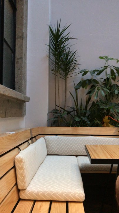 Casa Pepe - Breakfast Area. Hang area. - Hostels Near Me - Ciudad de México, DIF