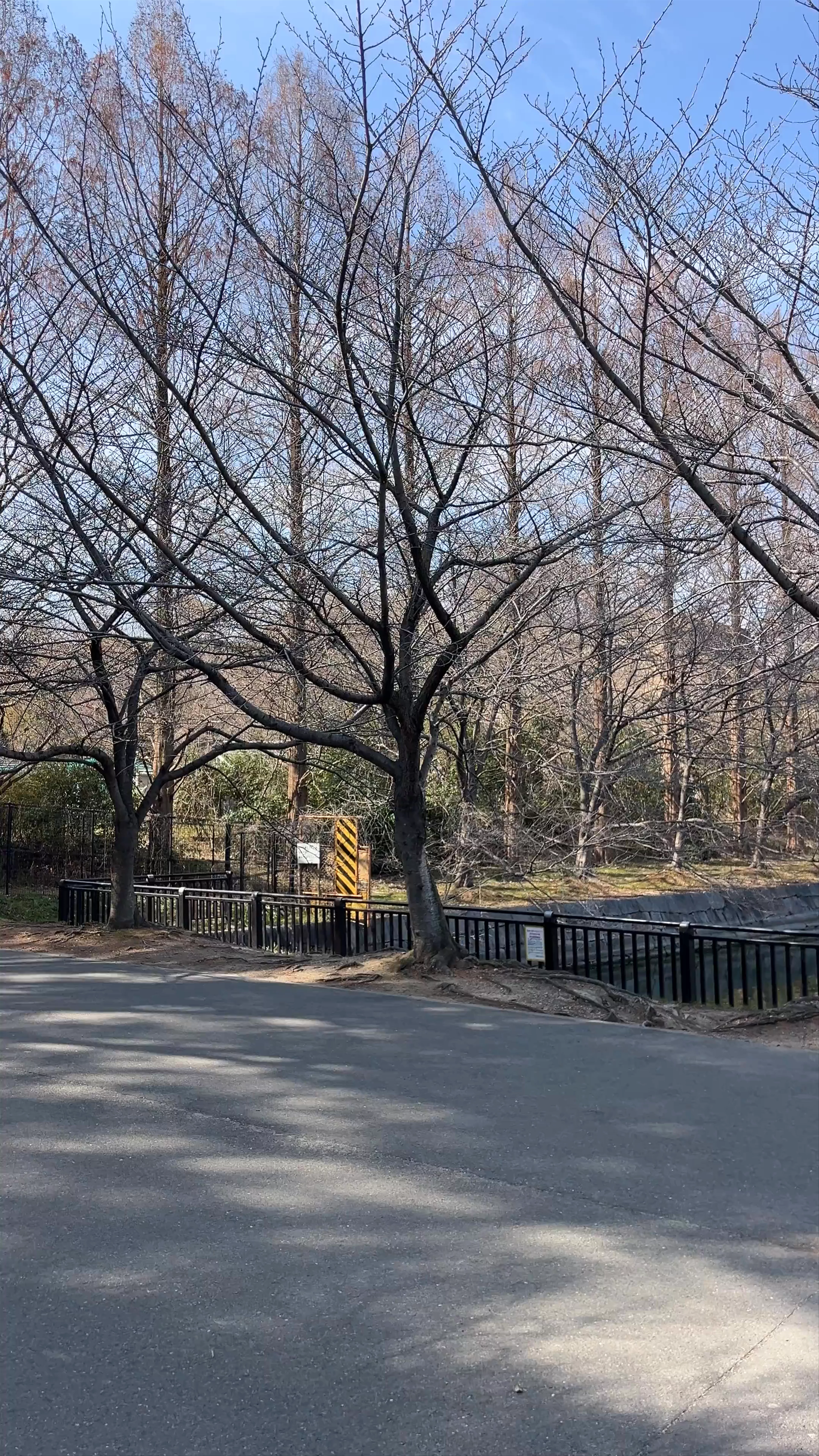 East Outer Moat, 2 Osakajo, Chuo Ward